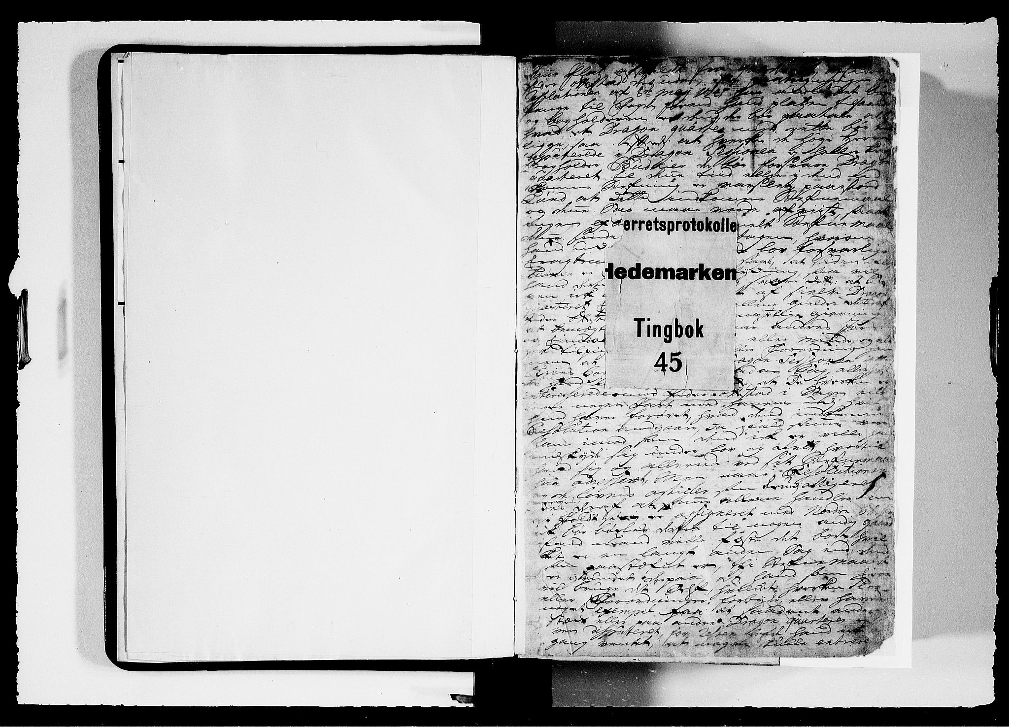 Hedemarken sorenskriveri, SAH/TING-034/G/Gb/L0046: Tingbok, 1745-1748, p. 0b-1a