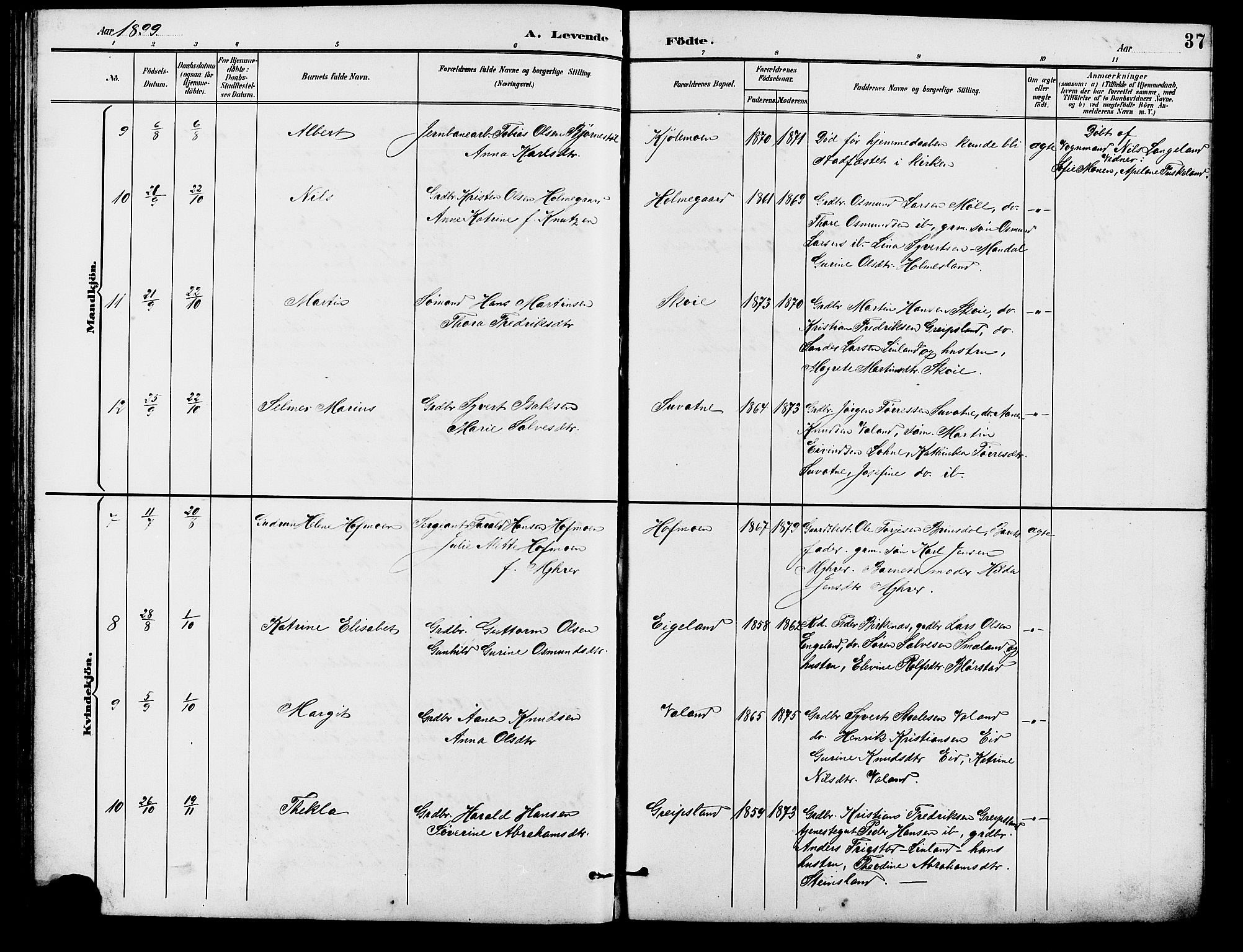 Holum sokneprestkontor, SAK/1111-0022/F/Fb/Fba/L0005: Parish register (copy) no. B 5, 1891-1909, p. 37