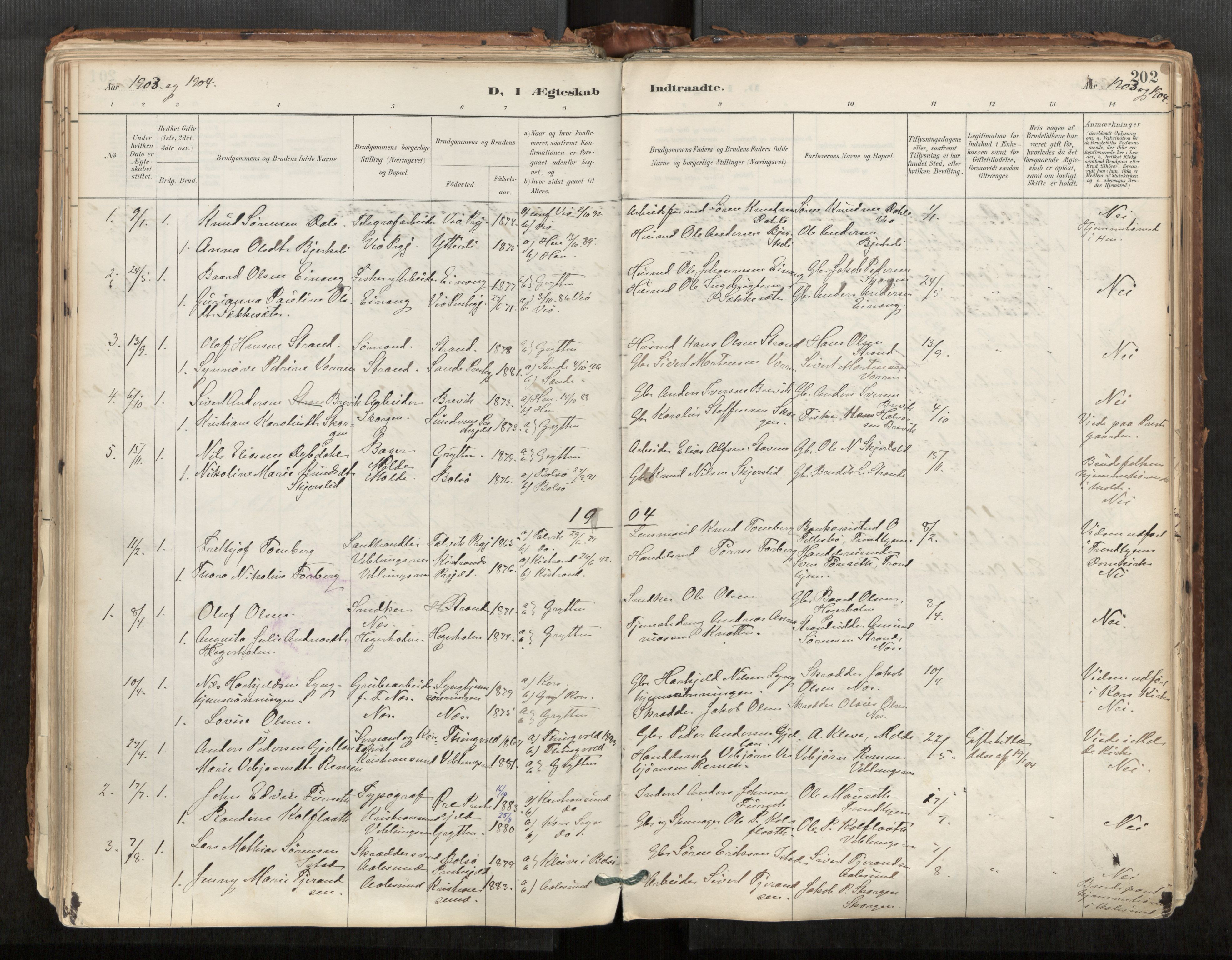 Ministerialprotokoller, klokkerbøker og fødselsregistre - Møre og Romsdal, AV/SAT-A-1454/544/L0585: Parish register (official) no. 544A06, 1887-1924, p. 202