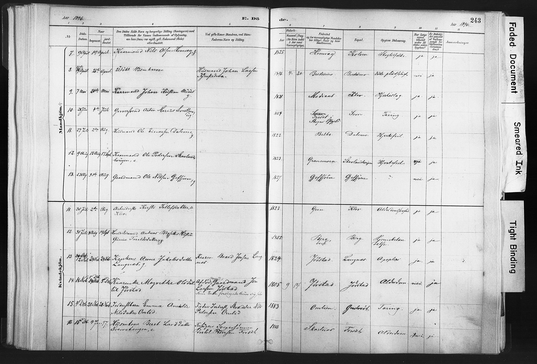 Ministerialprotokoller, klokkerbøker og fødselsregistre - Nord-Trøndelag, AV/SAT-A-1458/749/L0474: Parish register (official) no. 749A08, 1887-1903, p. 243