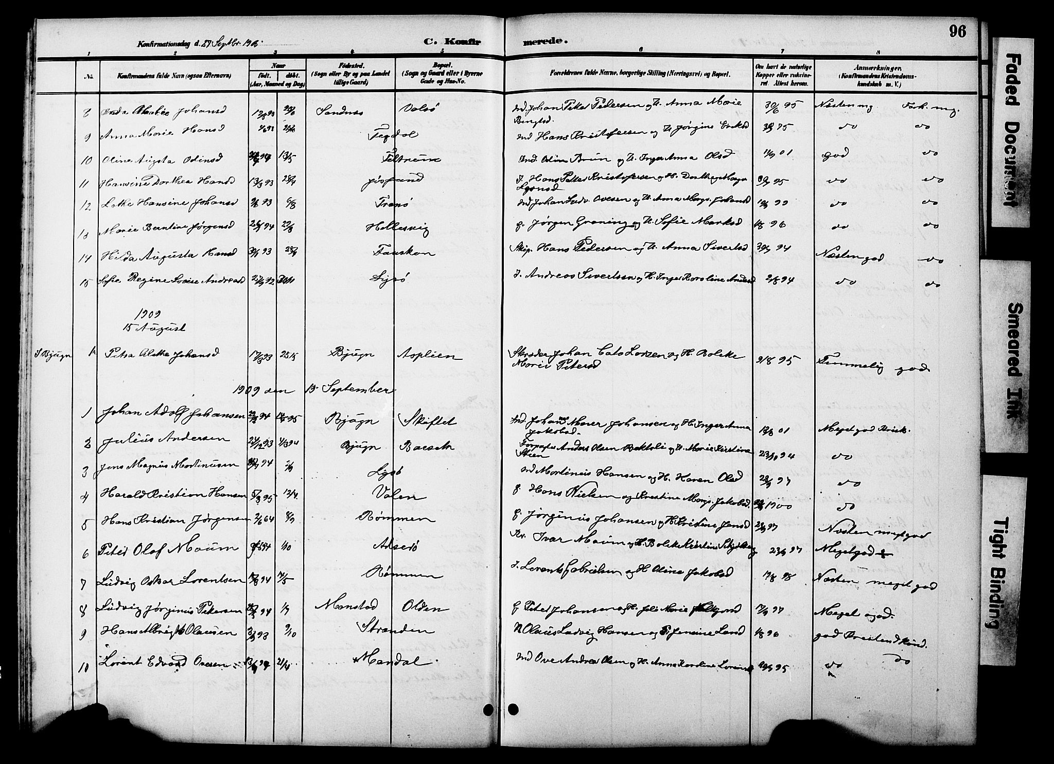 Ministerialprotokoller, klokkerbøker og fødselsregistre - Sør-Trøndelag, SAT/A-1456/654/L0666: Parish register (copy) no. 654C02, 1901-1925, p. 96