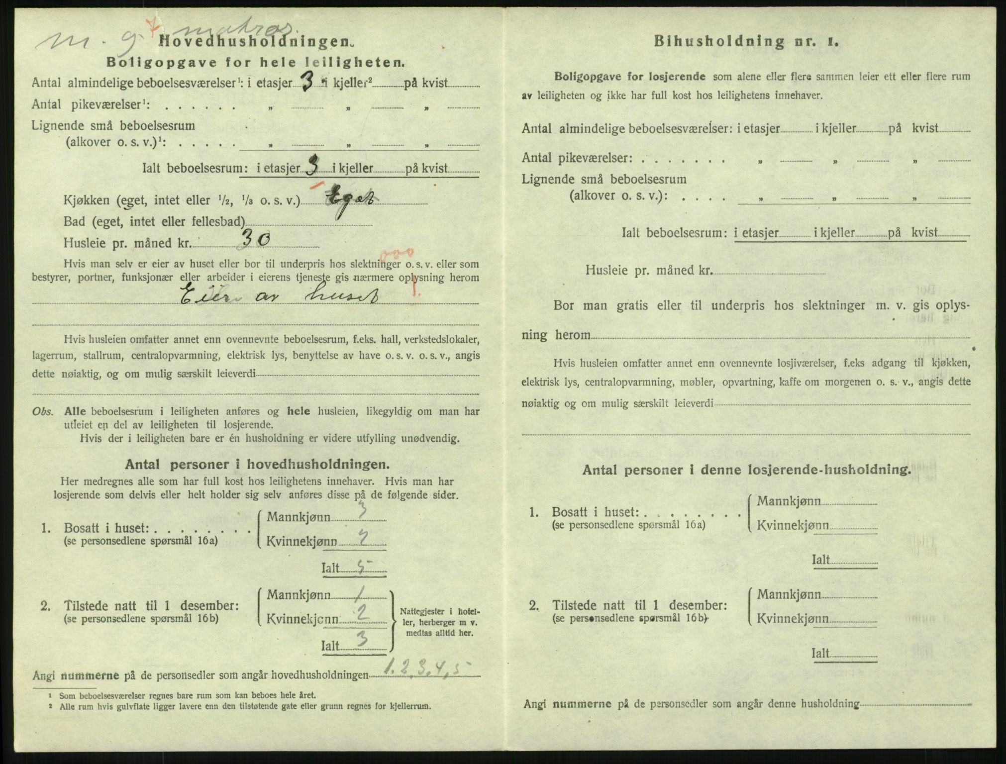 SAKO, 1920 census for Larvik, 1920, p. 7313