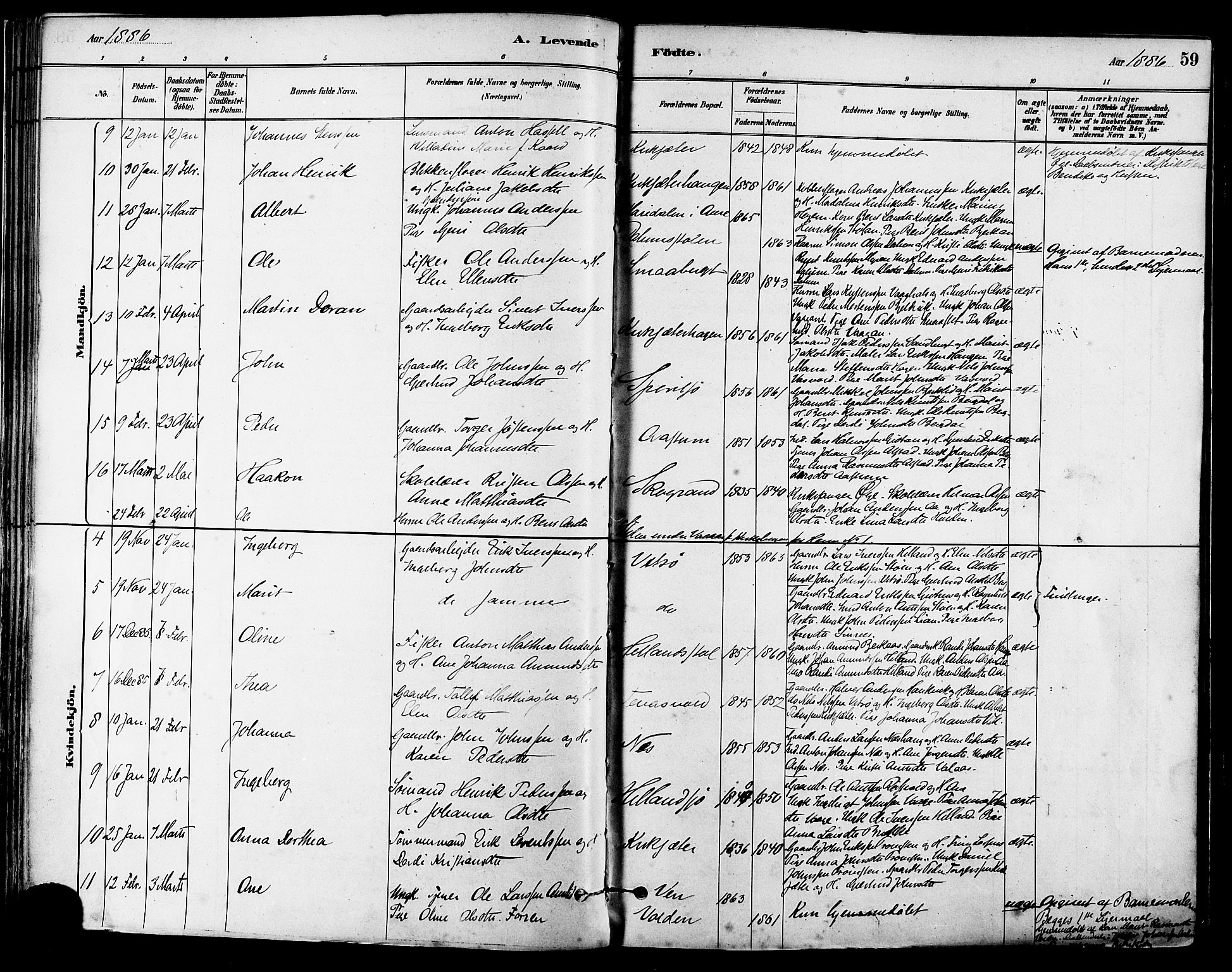 Ministerialprotokoller, klokkerbøker og fødselsregistre - Sør-Trøndelag, SAT/A-1456/630/L0496: Parish register (official) no. 630A09, 1879-1895, p. 59