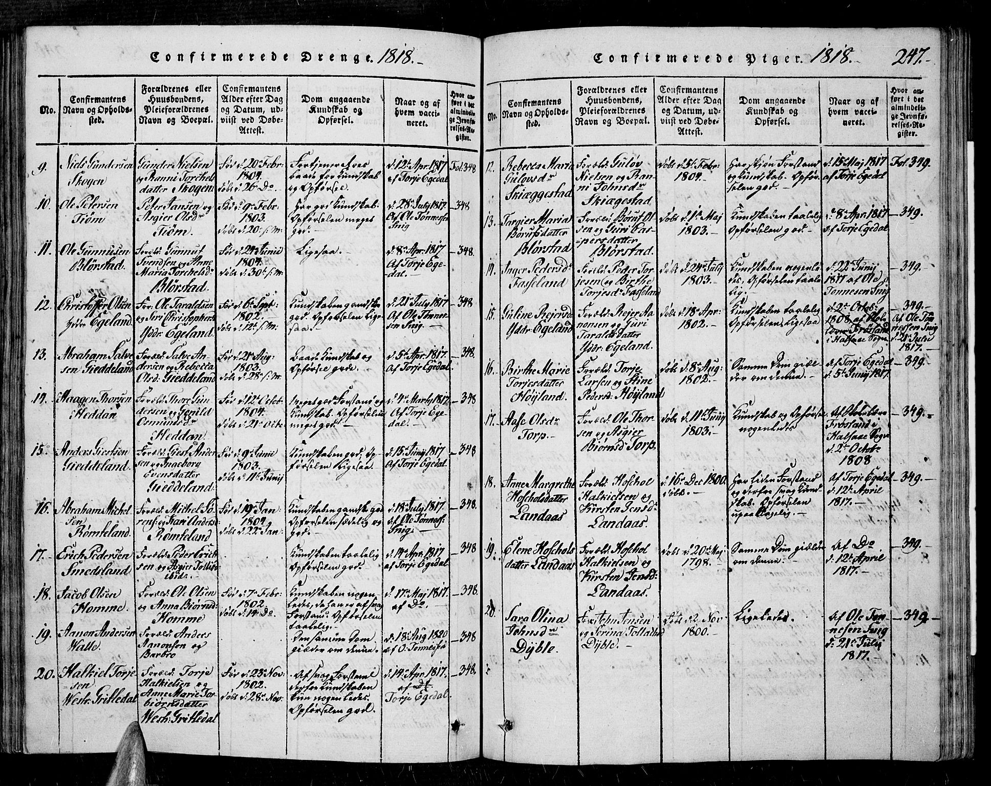 Sør-Audnedal sokneprestkontor, SAK/1111-0039/F/Fa/Fab/L0005: Parish register (official) no. A 5, 1816-1830, p. 247