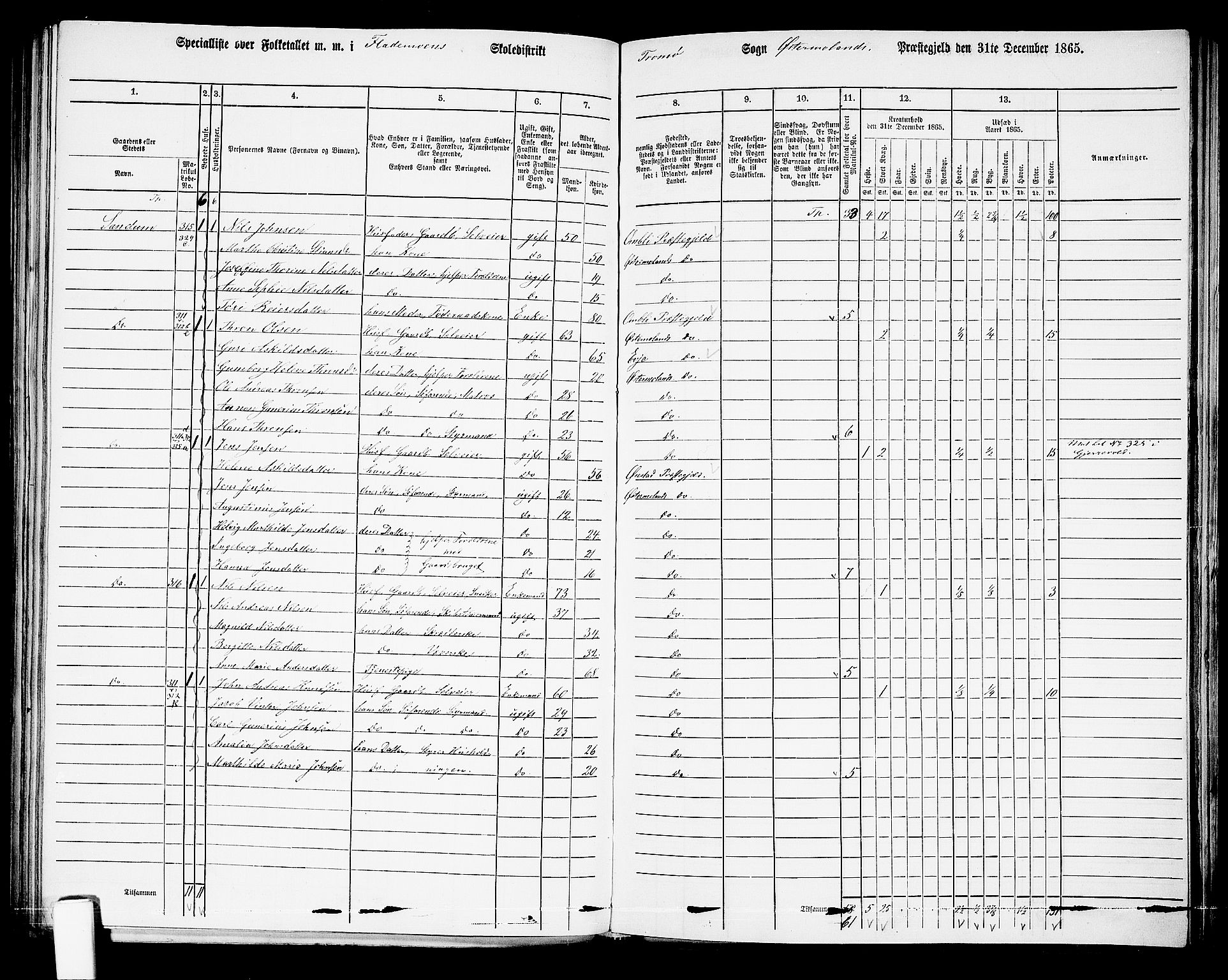 RA, 1865 census for Austre Moland, 1865, p. 218