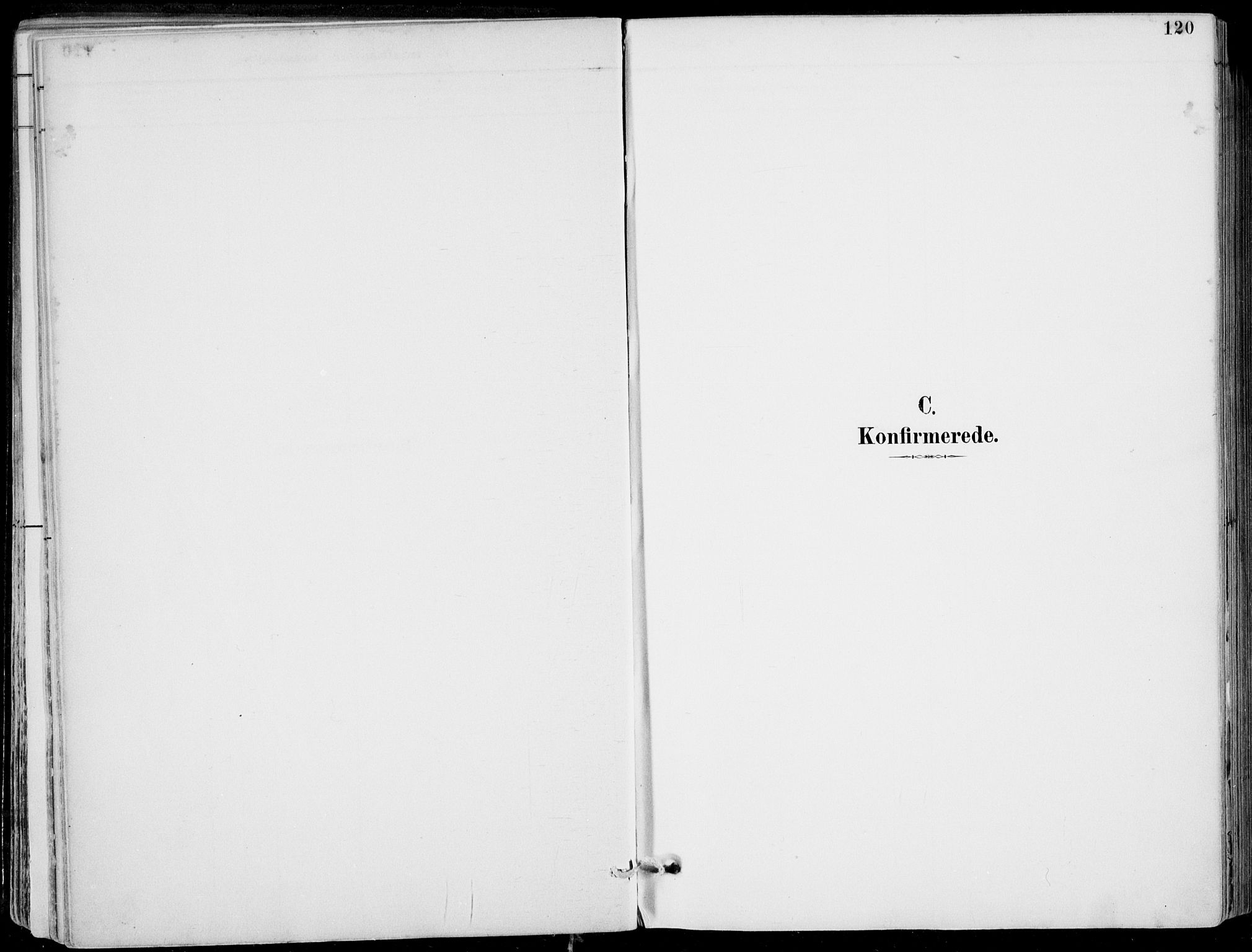 Strandebarm sokneprestembete, SAB/A-78401/H/Haa: Parish register (official) no. E  1, 1886-1908, p. 120