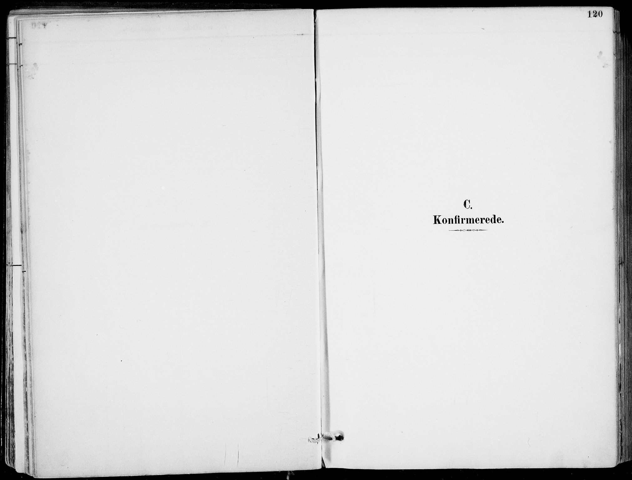 Strandebarm sokneprestembete, AV/SAB-A-78401/H/Haa: Parish register (official) no. E  1, 1886-1908, p. 120