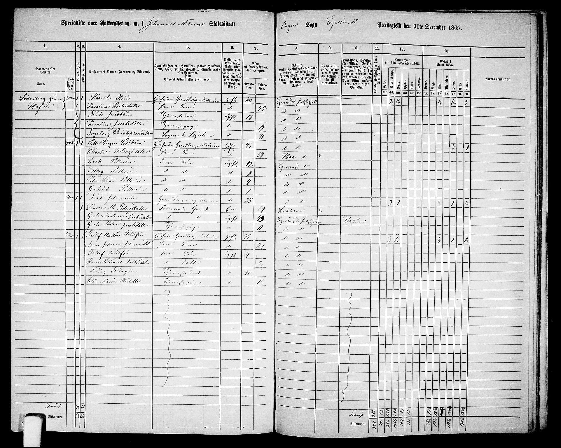 RA, 1865 census for Eigersund/Eigersund og Ogna, 1865, p. 142