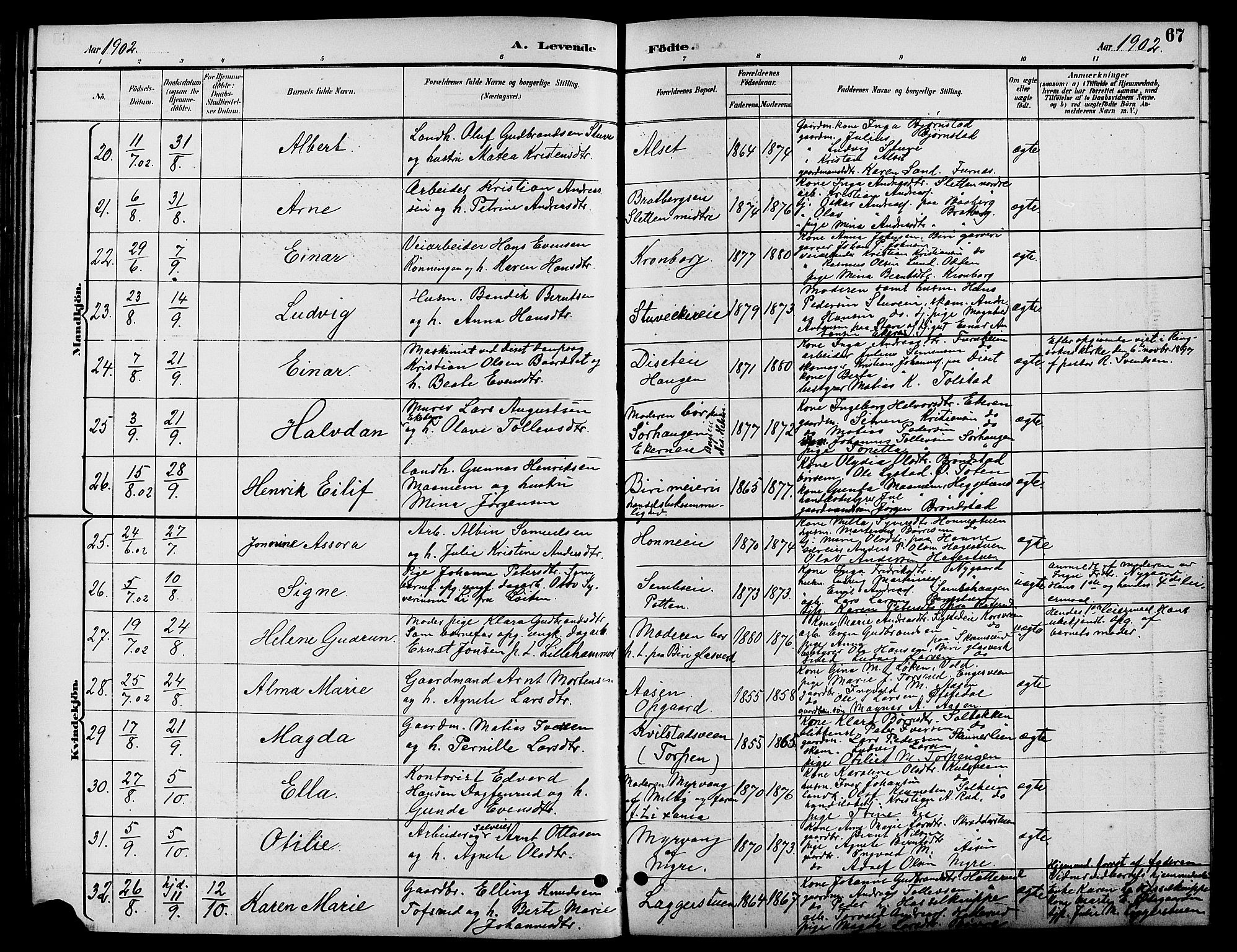 Biri prestekontor, SAH/PREST-096/H/Ha/Hab/L0004: Parish register (copy) no. 4, 1892-1909, p. 67