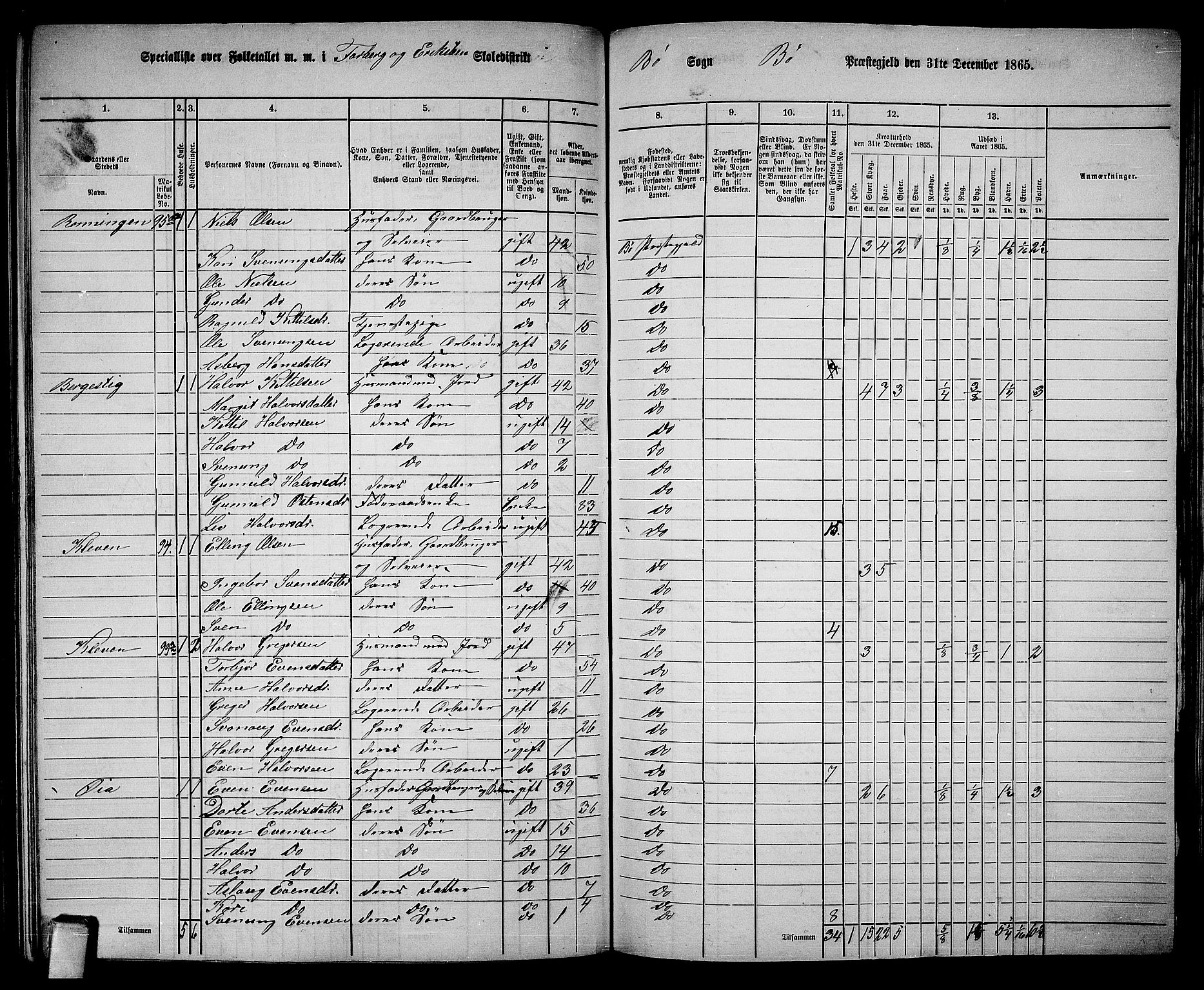 RA, 1865 census for Bø, 1865, p. 150