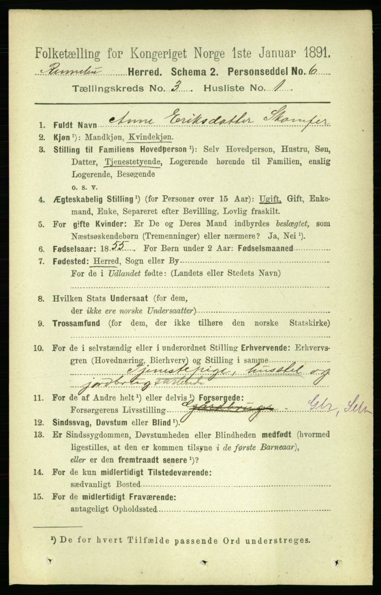 RA, 1891 census for 1635 Rennebu, 1891, p. 1393