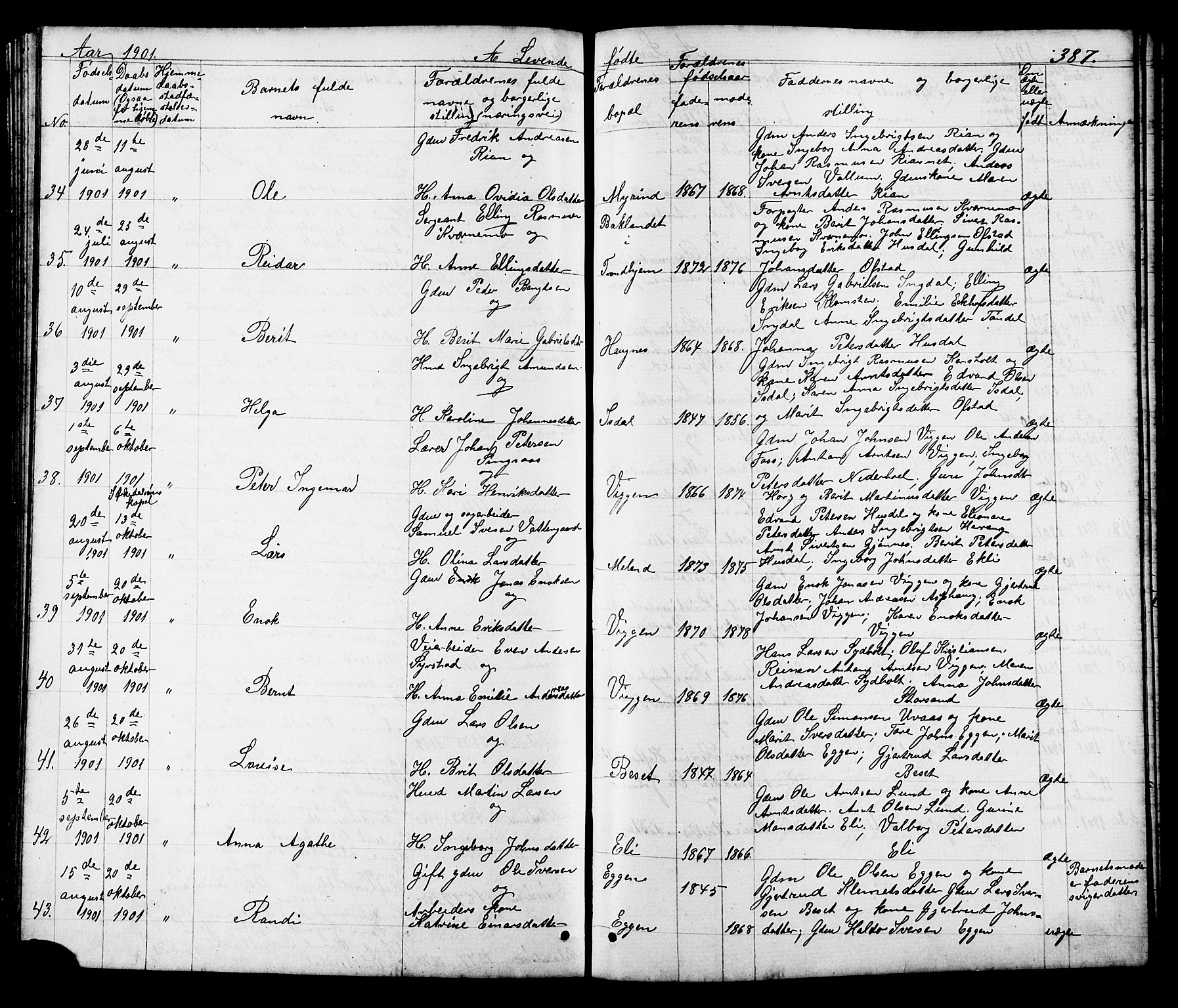 Ministerialprotokoller, klokkerbøker og fødselsregistre - Sør-Trøndelag, AV/SAT-A-1456/665/L0777: Parish register (copy) no. 665C02, 1867-1915, p. 387