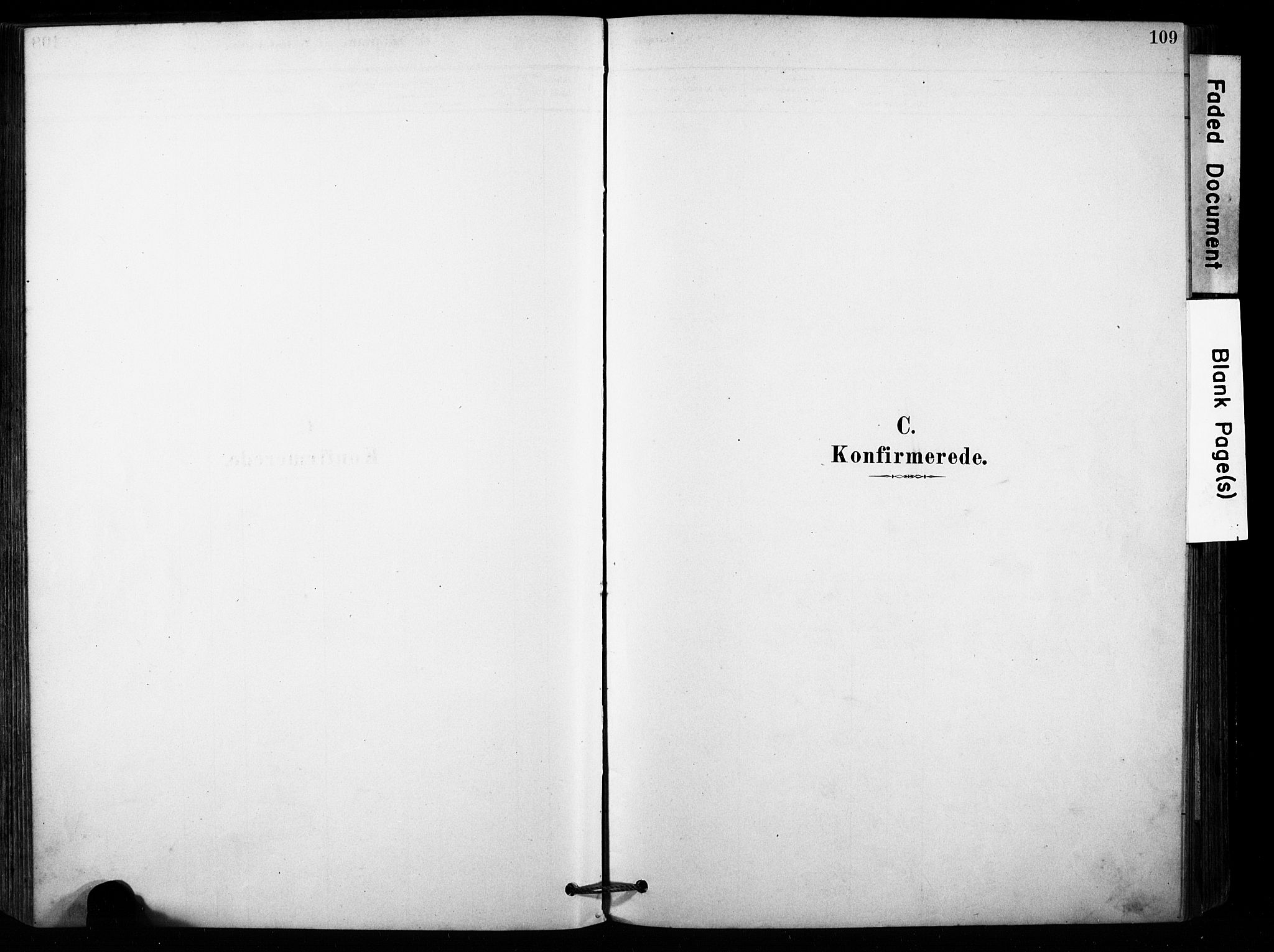 Brunlanes kirkebøker, SAKO/A-342/F/Fb/L0001: Parish register (official) no. II 1, 1878-1899, p. 109