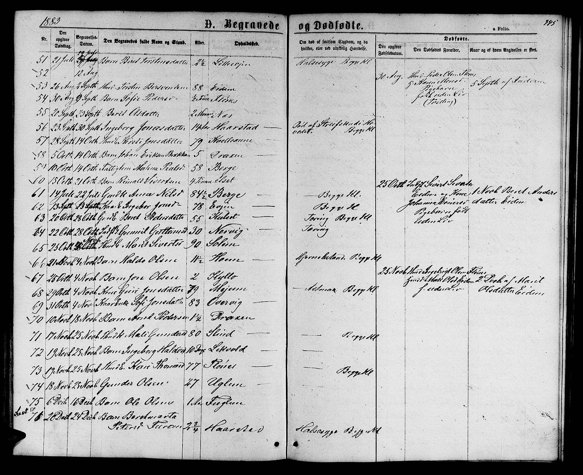 Ministerialprotokoller, klokkerbøker og fødselsregistre - Sør-Trøndelag, SAT/A-1456/695/L1156: Parish register (copy) no. 695C07, 1869-1888, p. 345