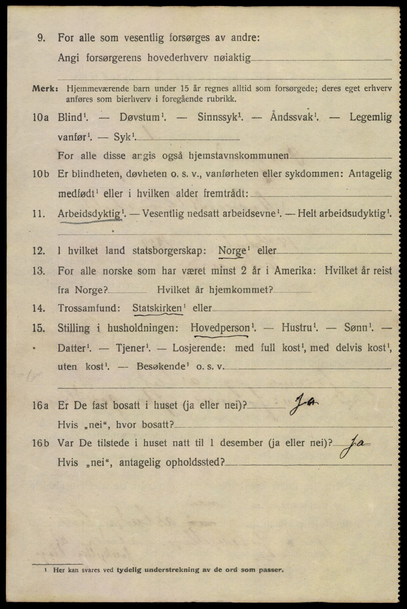 SAKO, 1920 census for Porsgrunn, 1920, p. 10842