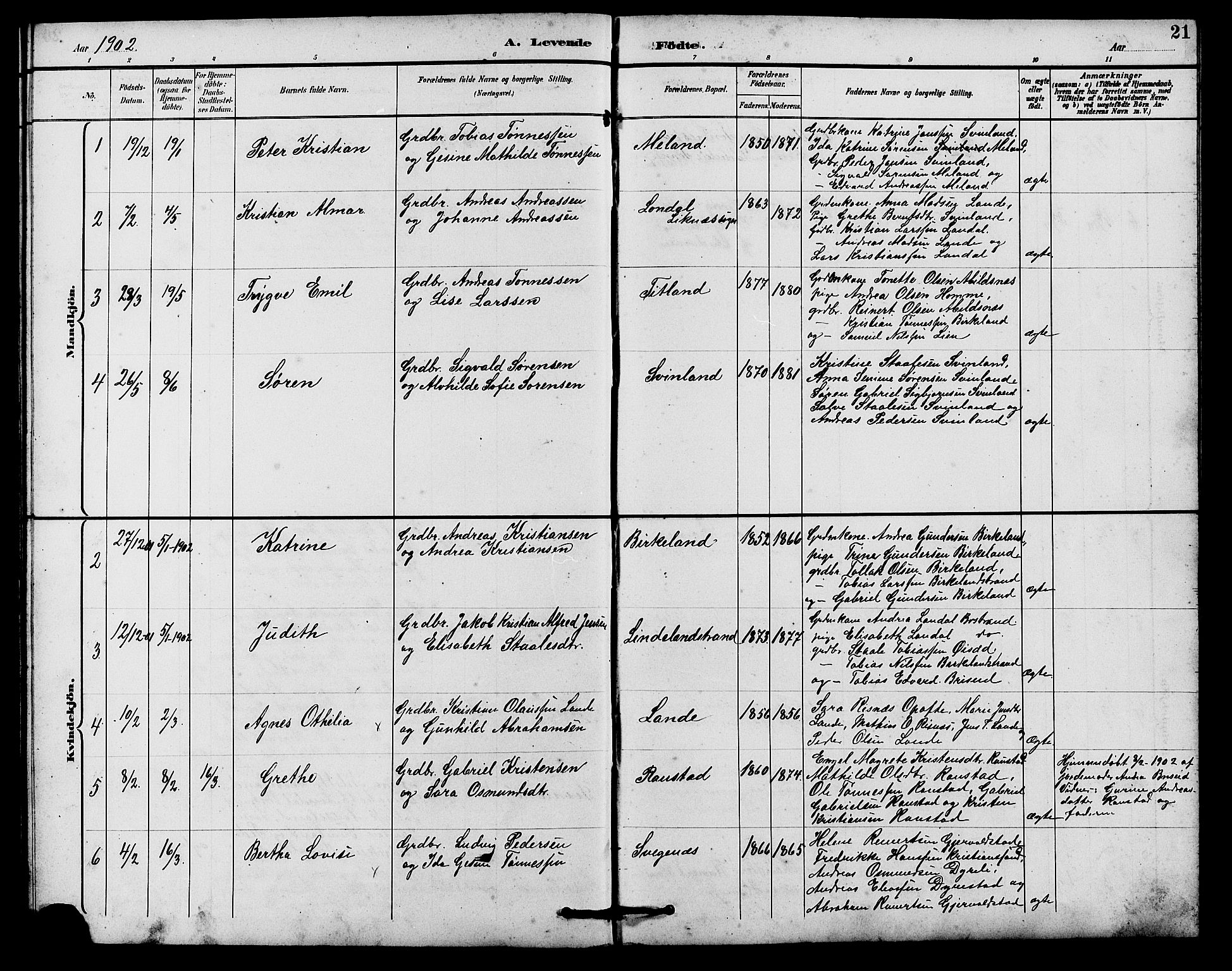 Kvinesdal sokneprestkontor, SAK/1111-0026/F/Fb/Fba/L0004: Parish register (copy) no. B 4, 1894-1909, p. 21