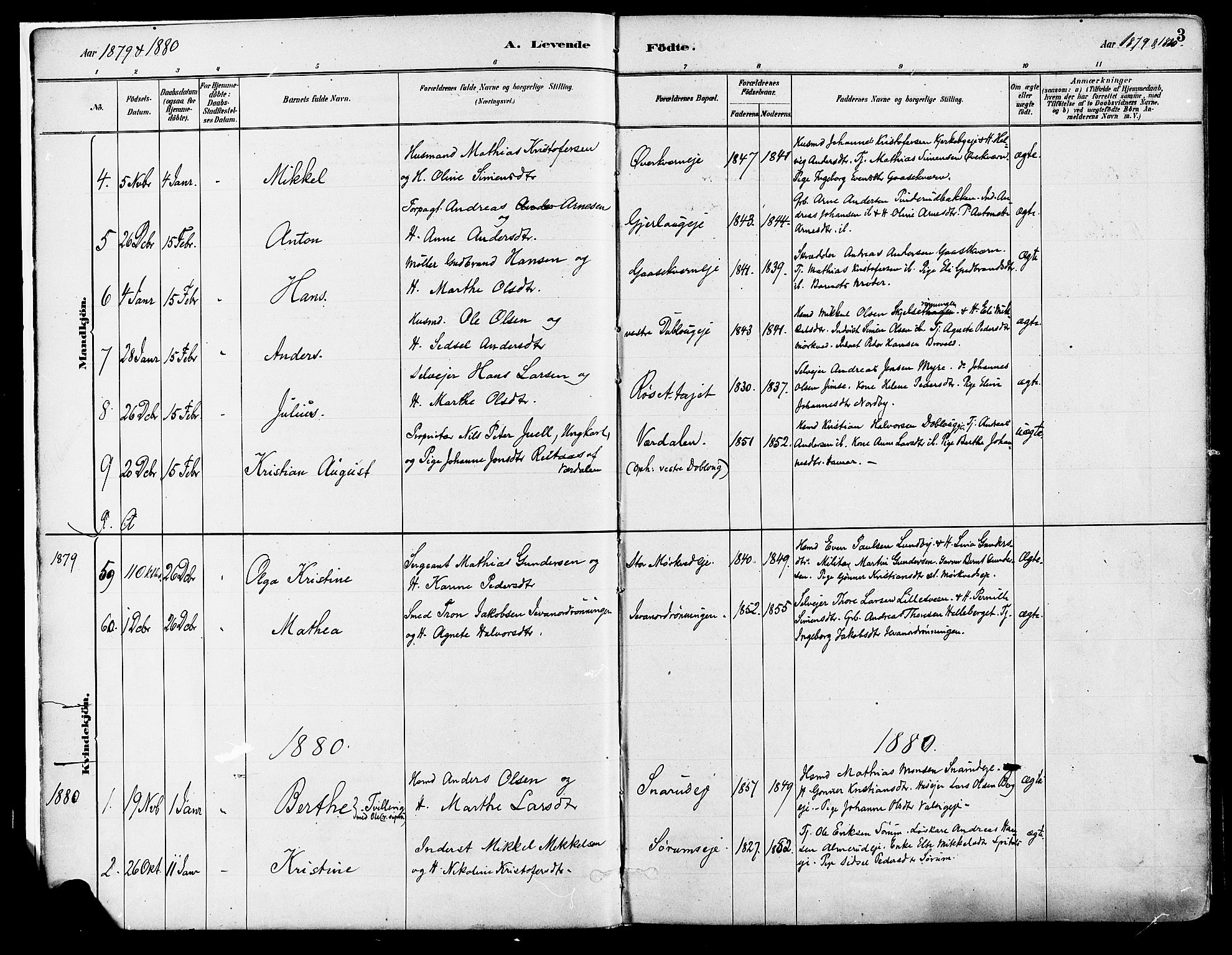 Vang prestekontor, Hedmark, SAH/PREST-008/H/Ha/Haa/L0018A: Parish register (official) no. 18A, 1880-1906, p. 3