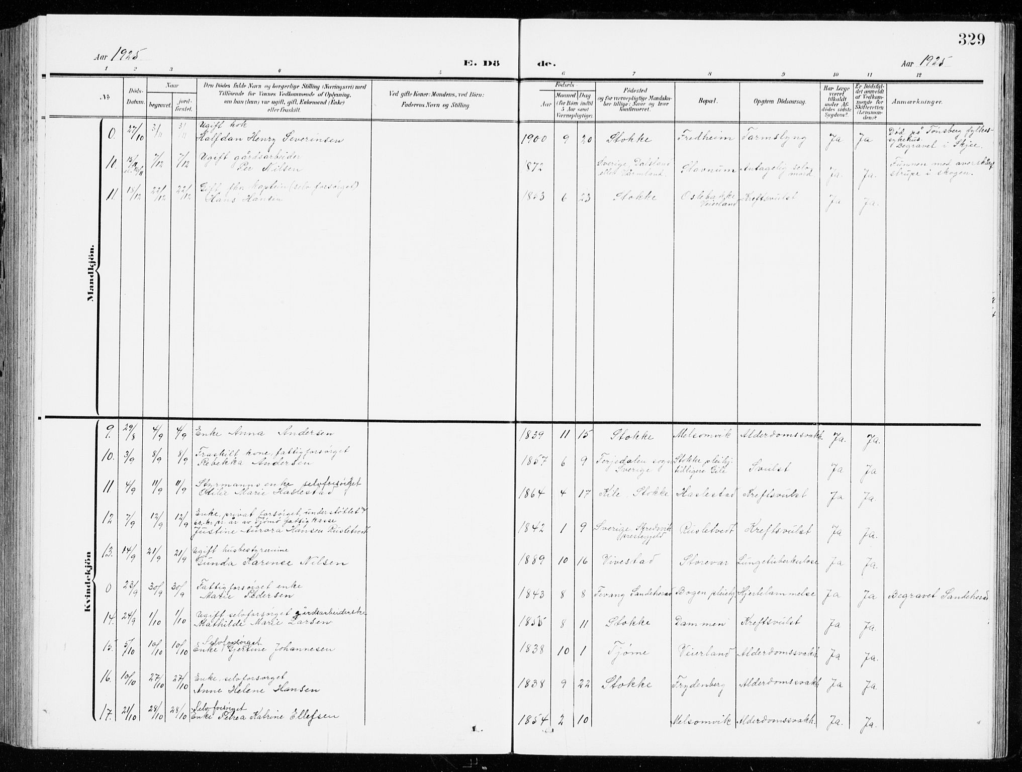 Stokke kirkebøker, AV/SAKO-A-320/G/Ga/L0001: Parish register (copy) no. I 1, 1904-1940, p. 329