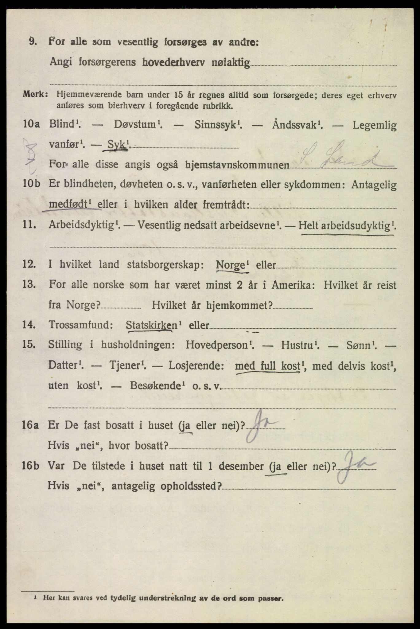 SAH, 1920 census for Søndre Land, 1920, p. 5004