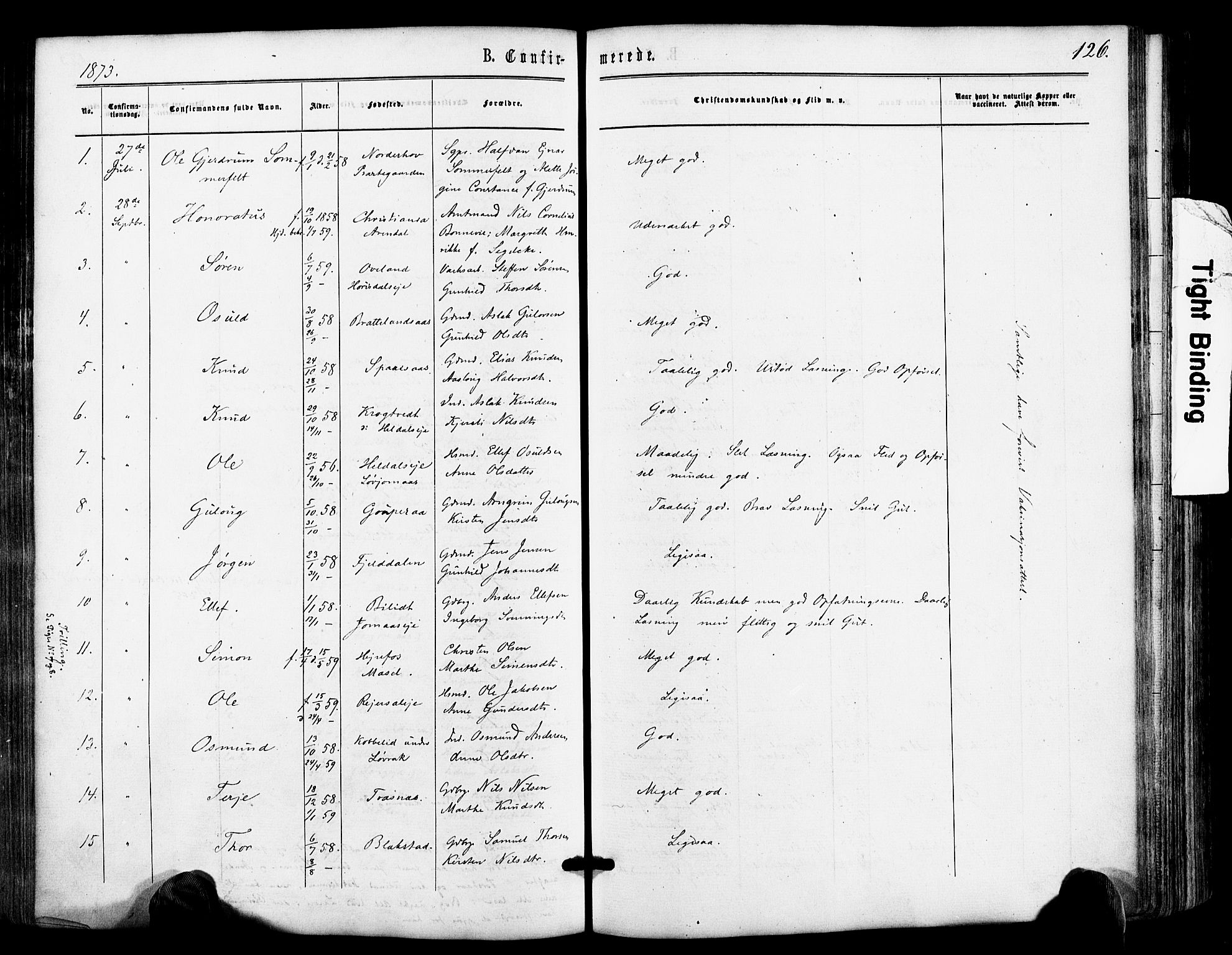 Froland sokneprestkontor, AV/SAK-1111-0013/F/Fa/L0003: Parish register (official) no. A 3, 1864-1881, p. 126