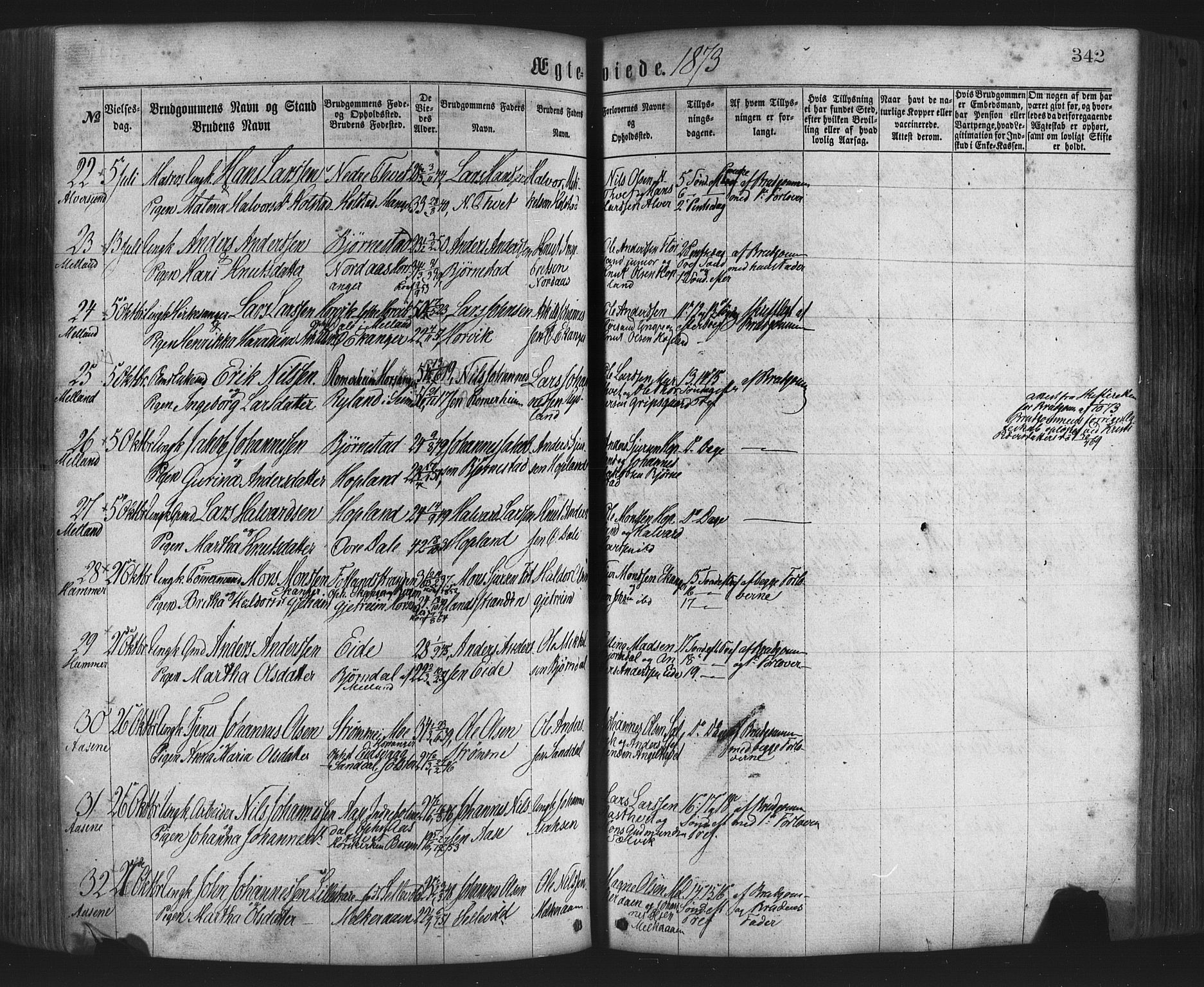 Hamre sokneprestembete, AV/SAB-A-75501/H/Ha/Haa/Haaa/L0015: Parish register (official) no. A 15, 1870-1881, p. 342