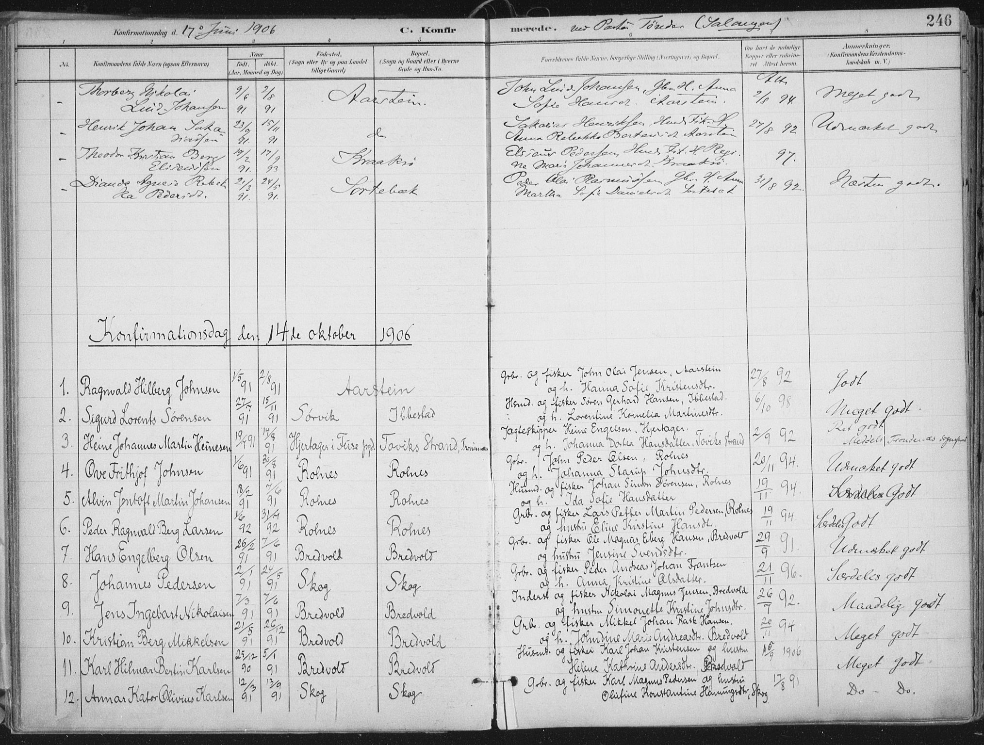 Ibestad sokneprestembete, AV/SATØ-S-0077/H/Ha/Haa/L0017kirke: Parish register (official) no. 17, 1901-1914, p. 246