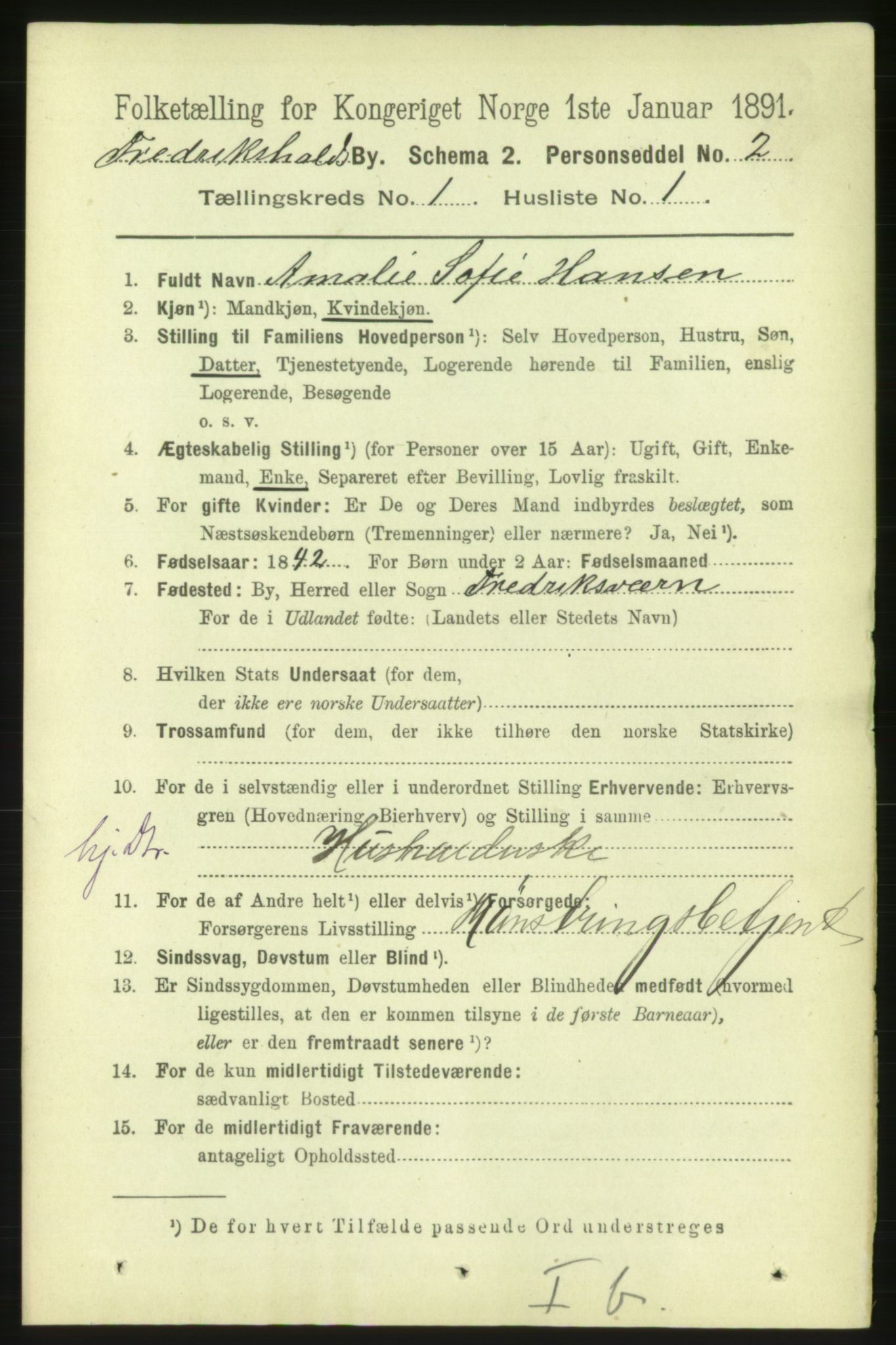 RA, 1891 census for 0101 Fredrikshald, 1891, p. 1960