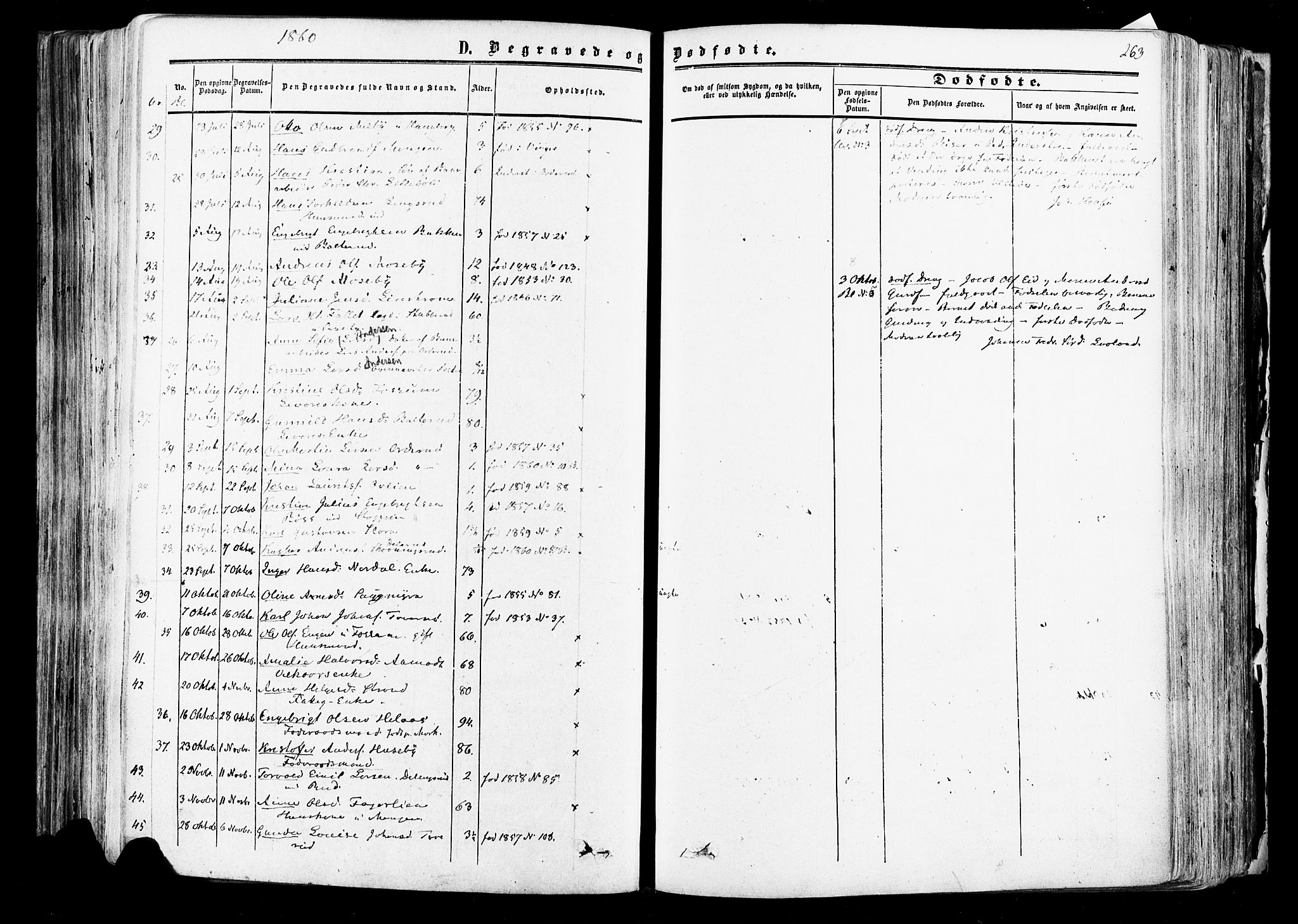 Aurskog prestekontor Kirkebøker, AV/SAO-A-10304a/F/Fa/L0007: Parish register (official) no. I 7, 1854-1877, p. 263