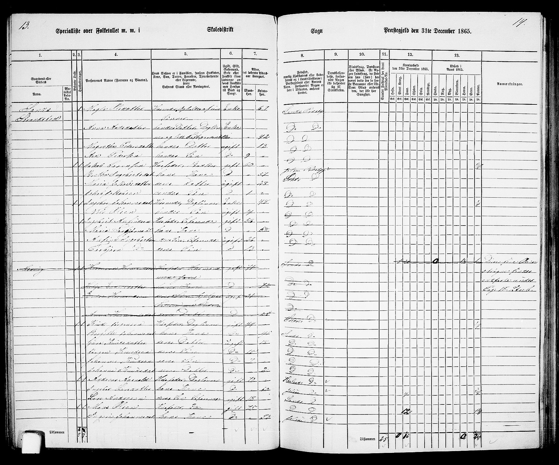 RA, 1865 census for Sand, 1865, p. 66