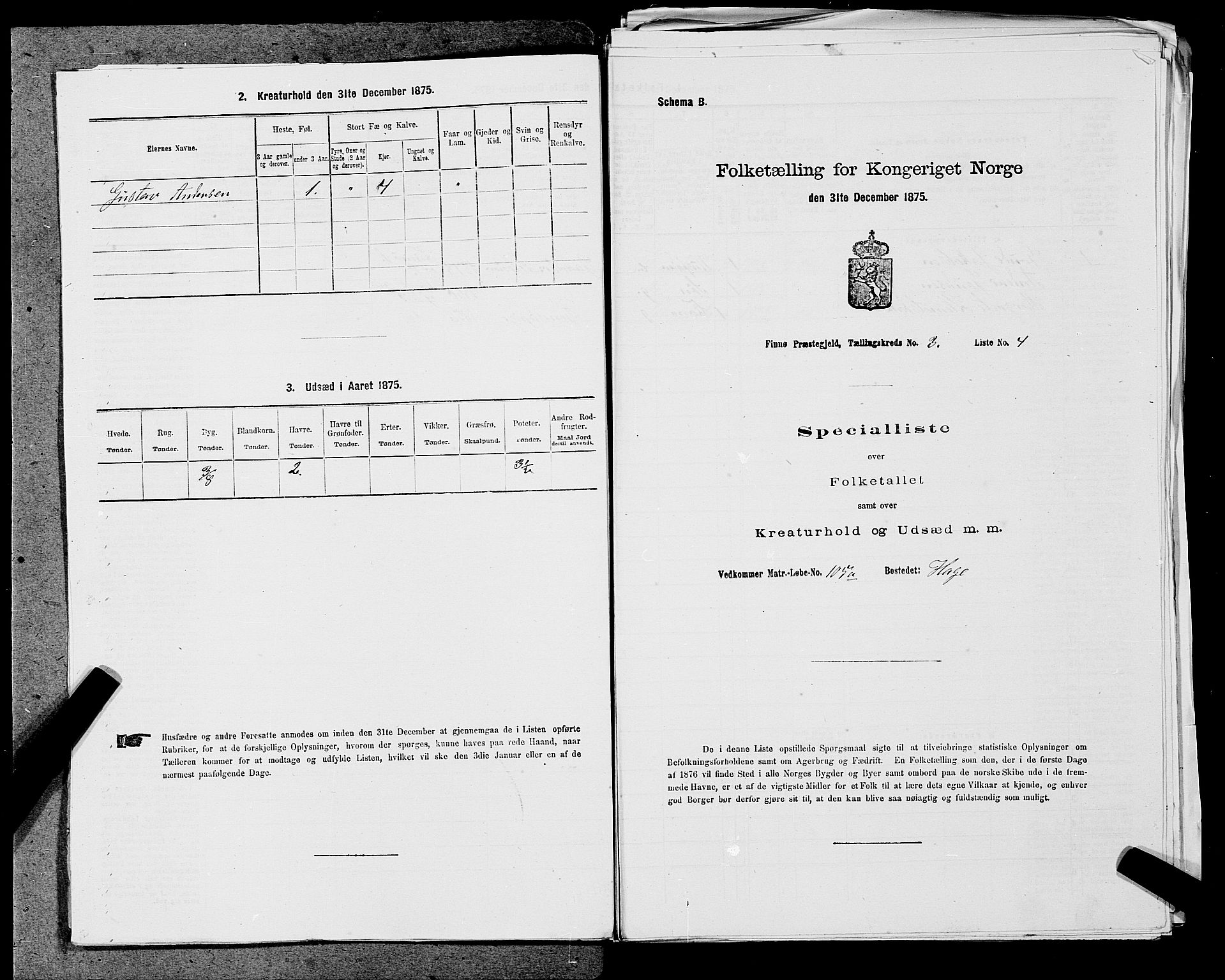 SAST, 1875 census for 1141P Finnøy, 1875, p. 262