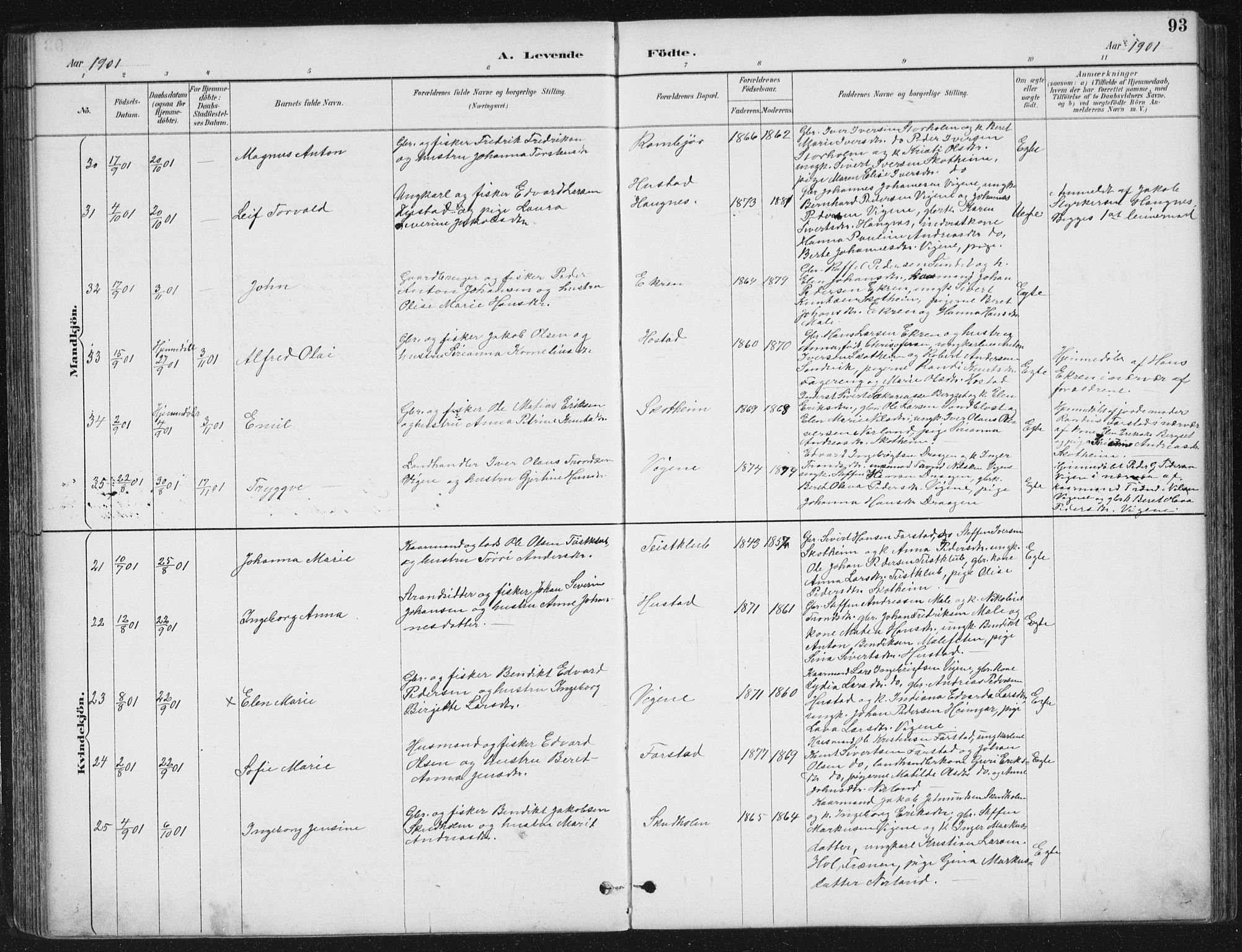 Ministerialprotokoller, klokkerbøker og fødselsregistre - Møre og Romsdal, SAT/A-1454/567/L0783: Parish register (copy) no. 567C03, 1887-1903, p. 93