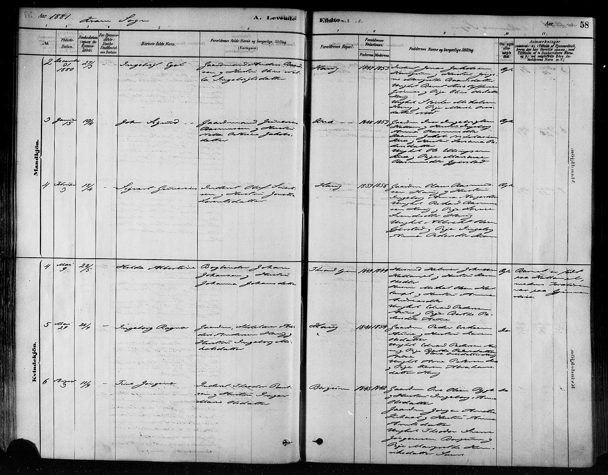 Ministerialprotokoller, klokkerbøker og fødselsregistre - Nord-Trøndelag, SAT/A-1458/746/L0449: Parish register (official) no. 746A07 /2, 1878-1899, p. 58