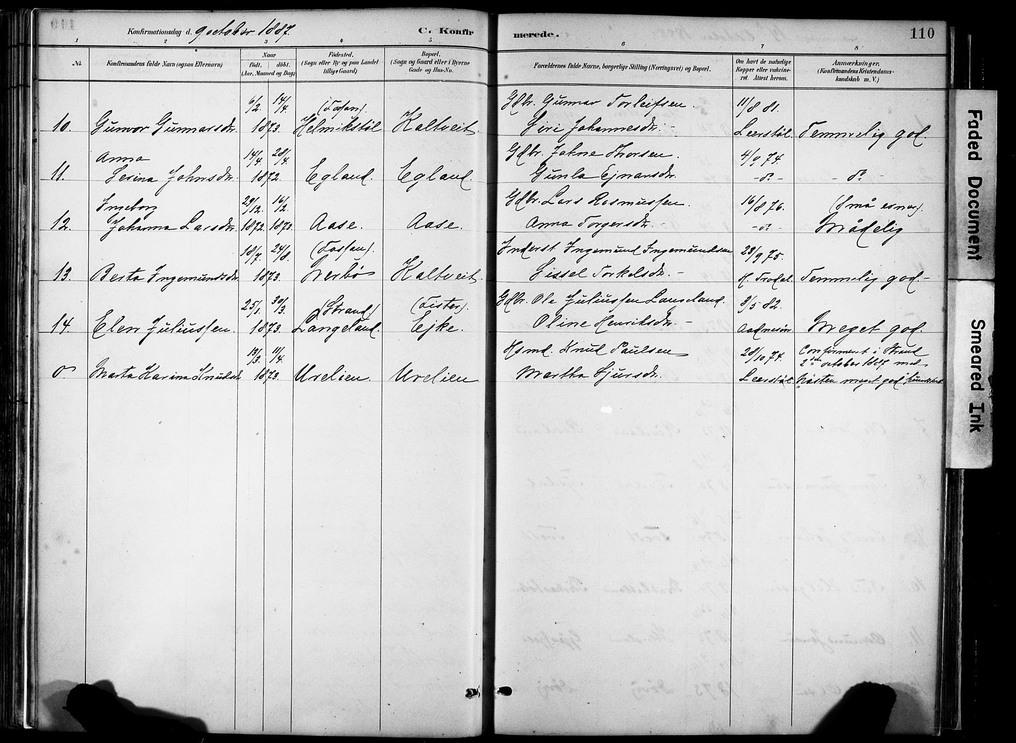 Hjelmeland sokneprestkontor, AV/SAST-A-101843/02/A/L0001: Parish register (official) no. A 16, 1887-1926, p. 110