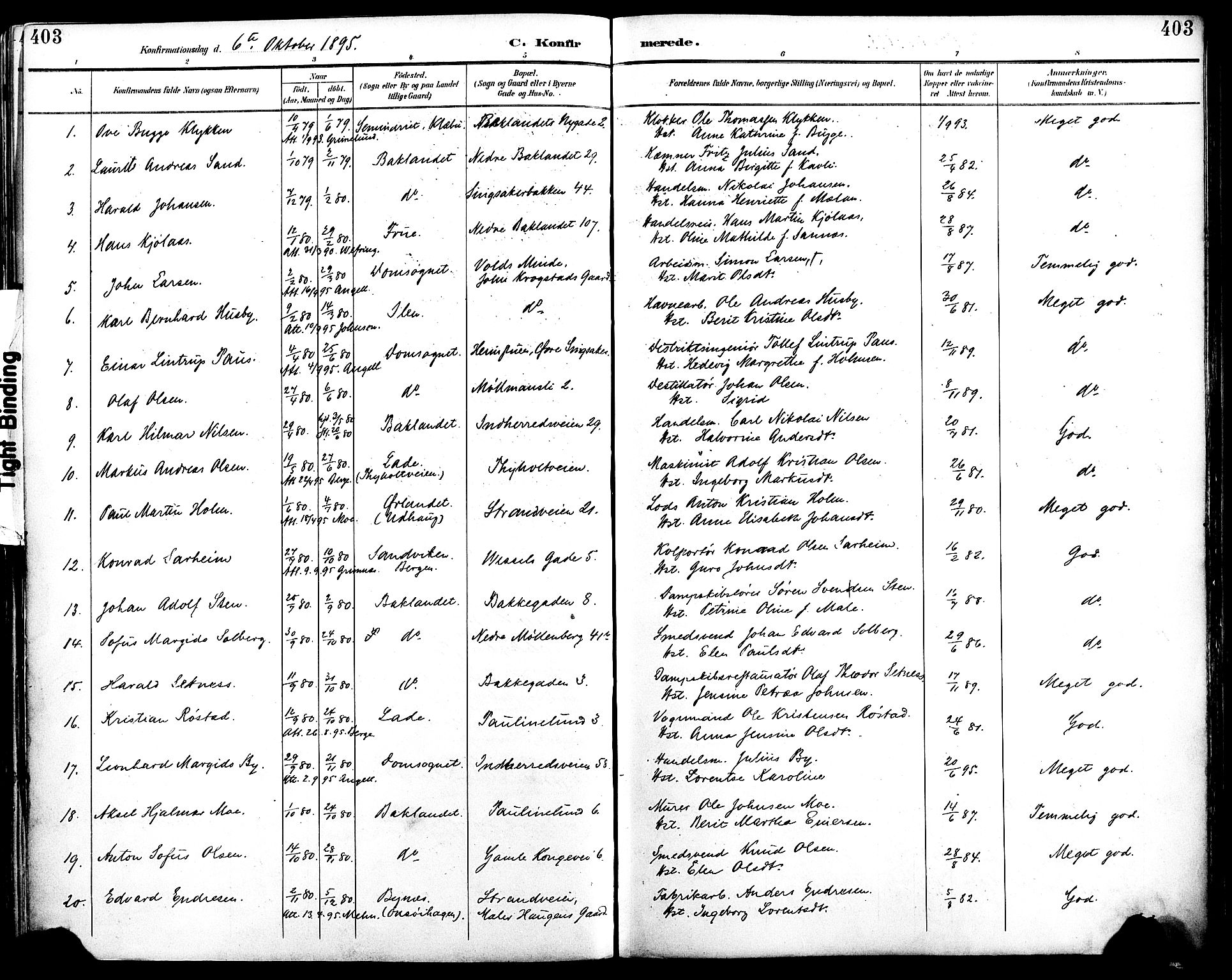 Ministerialprotokoller, klokkerbøker og fødselsregistre - Sør-Trøndelag, SAT/A-1456/604/L0197: Parish register (official) no. 604A18, 1893-1900, p. 403