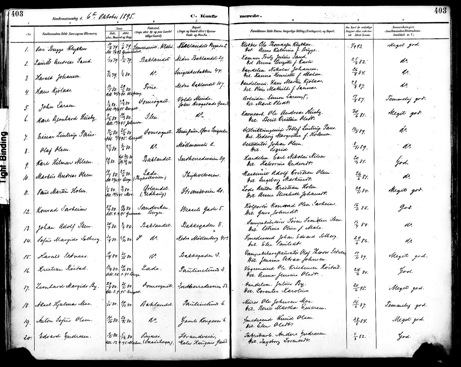 Ministerialprotokoller, klokkerbøker og fødselsregistre - Sør-Trøndelag, AV/SAT-A-1456/604/L0197: Parish register (official) no. 604A18, 1893-1900, p. 403