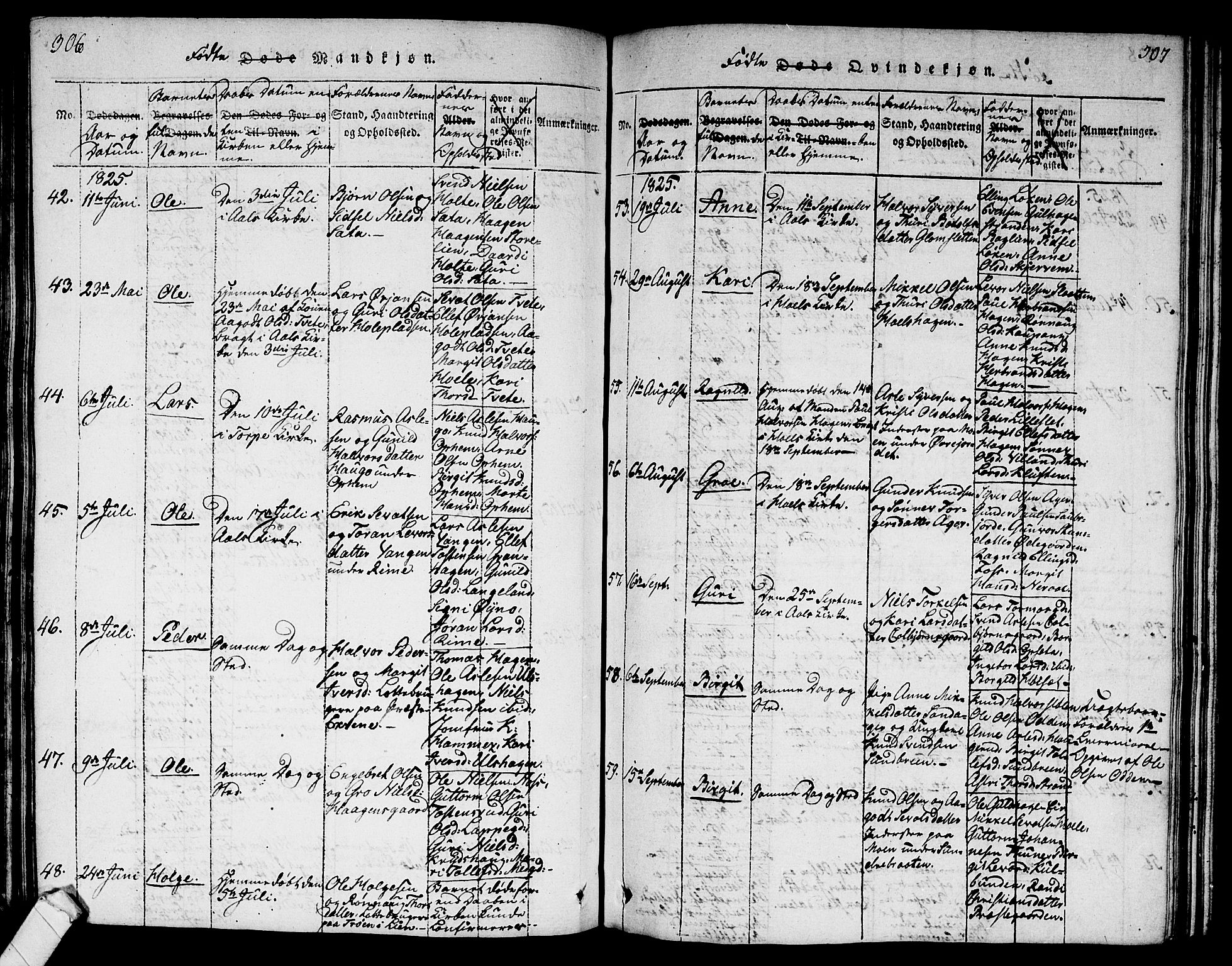 Ål kirkebøker, AV/SAKO-A-249/G/Ga/L0001: Parish register (copy) no. 1, 1815-1829, p. 306-307