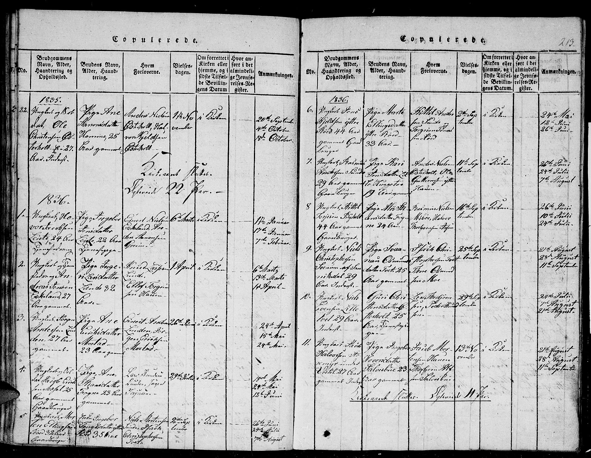 Gjerstad sokneprestkontor, SAK/1111-0014/F/Fb/Fba/L0002: Parish register (copy) no. B 2, 1816-1845, p. 213