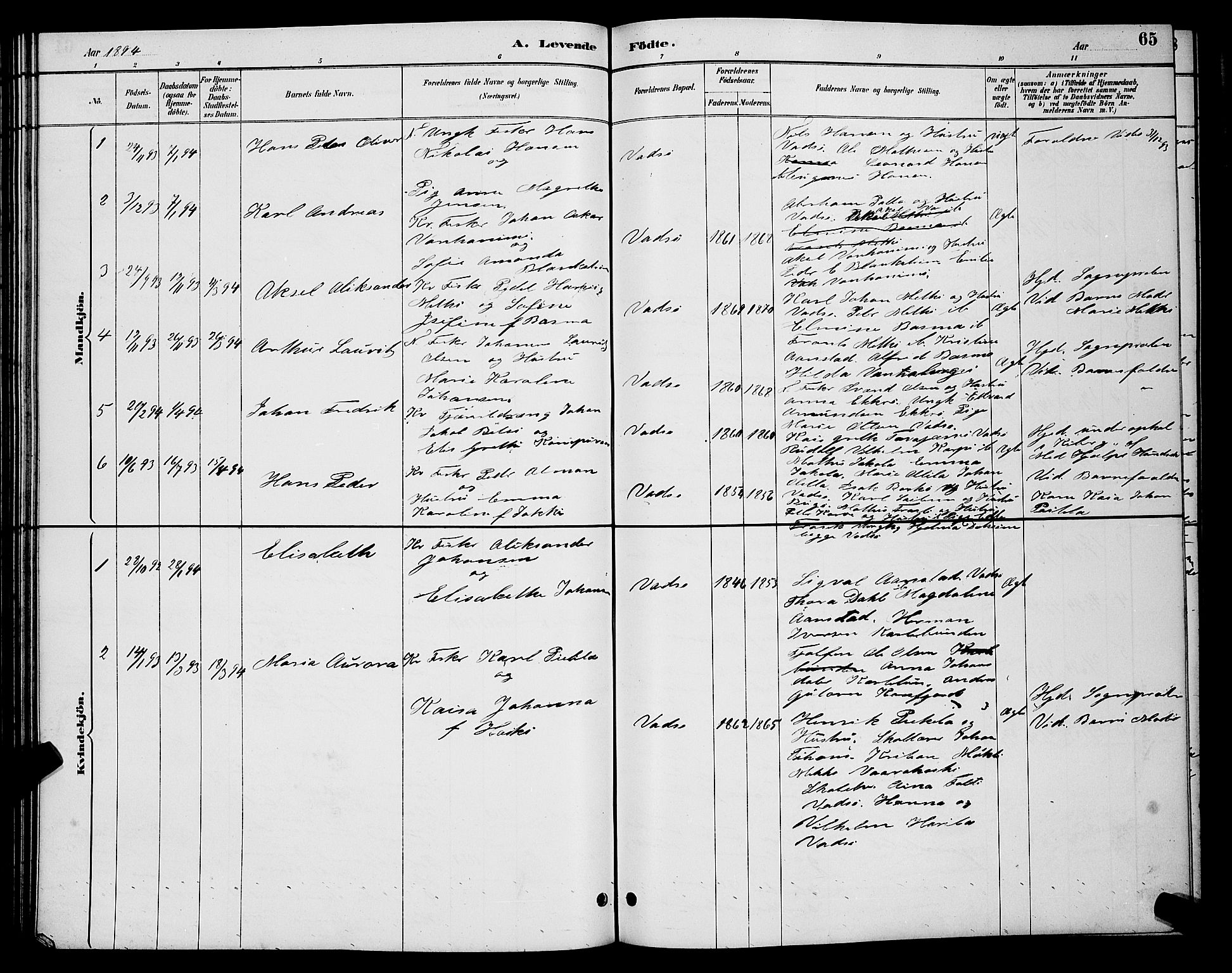 Vadsø sokneprestkontor, SATØ/S-1325/H/Hb/L0004klokker: Parish register (copy) no. 4, 1885-1895, p. 65