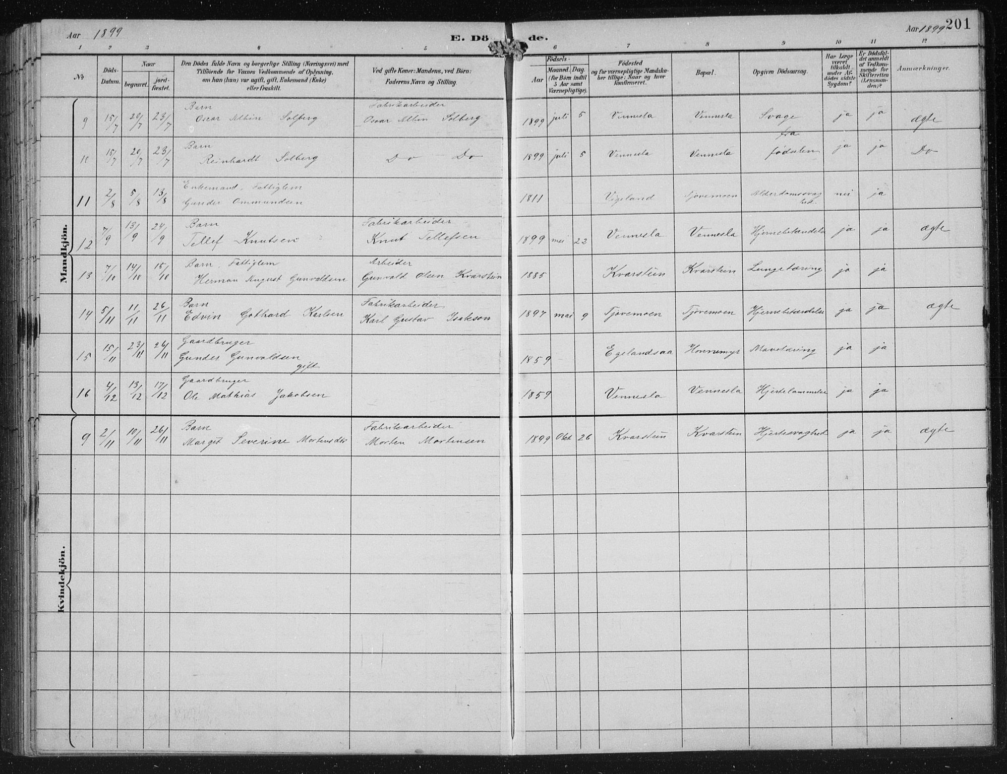 Vennesla sokneprestkontor, AV/SAK-1111-0045/Fb/Fbb/L0004: Parish register (copy) no. B 4, 1893-1902, p. 201