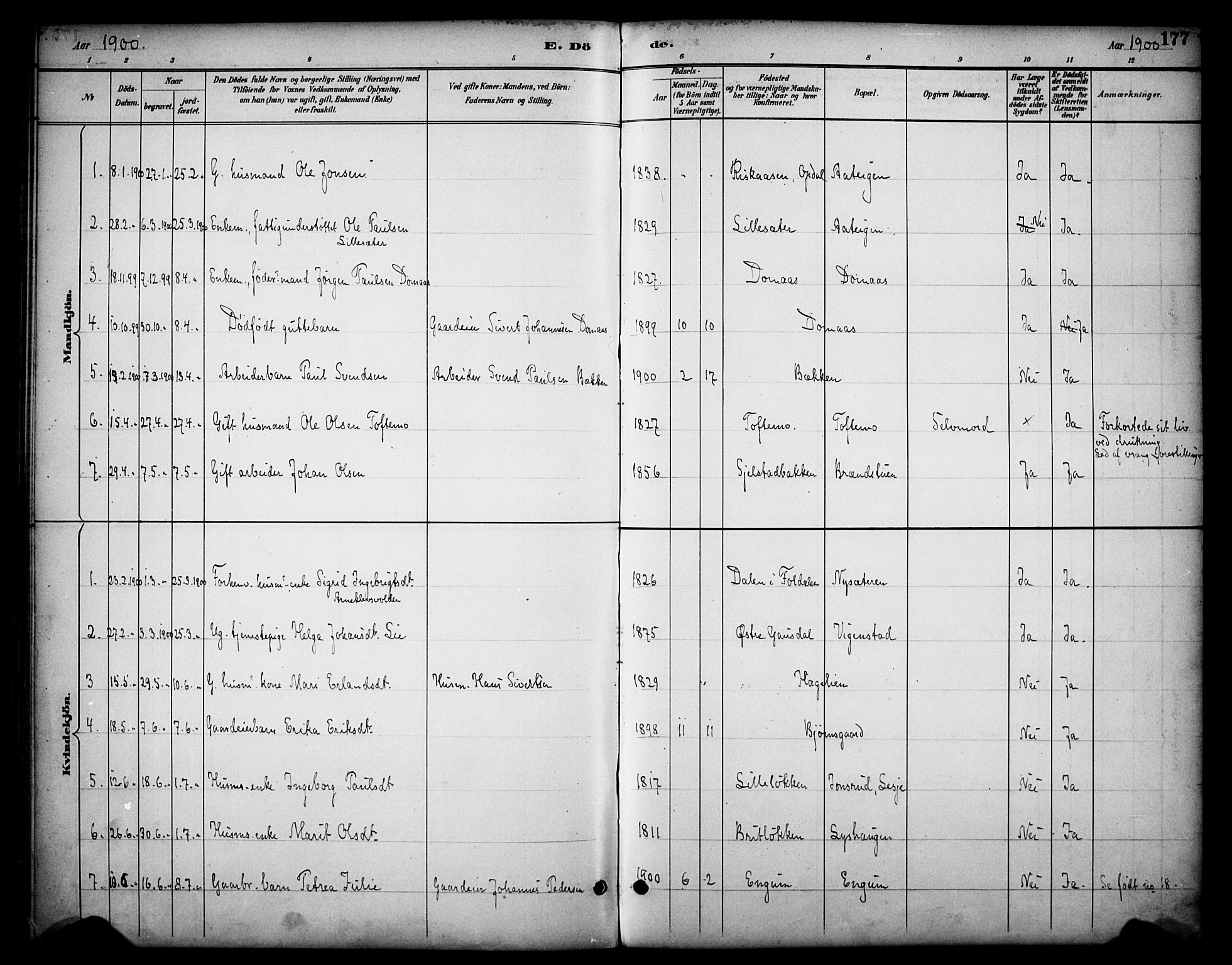 Dovre prestekontor, AV/SAH-PREST-066/H/Ha/Haa/L0003: Parish register (official) no. 3, 1891-1901, p. 177