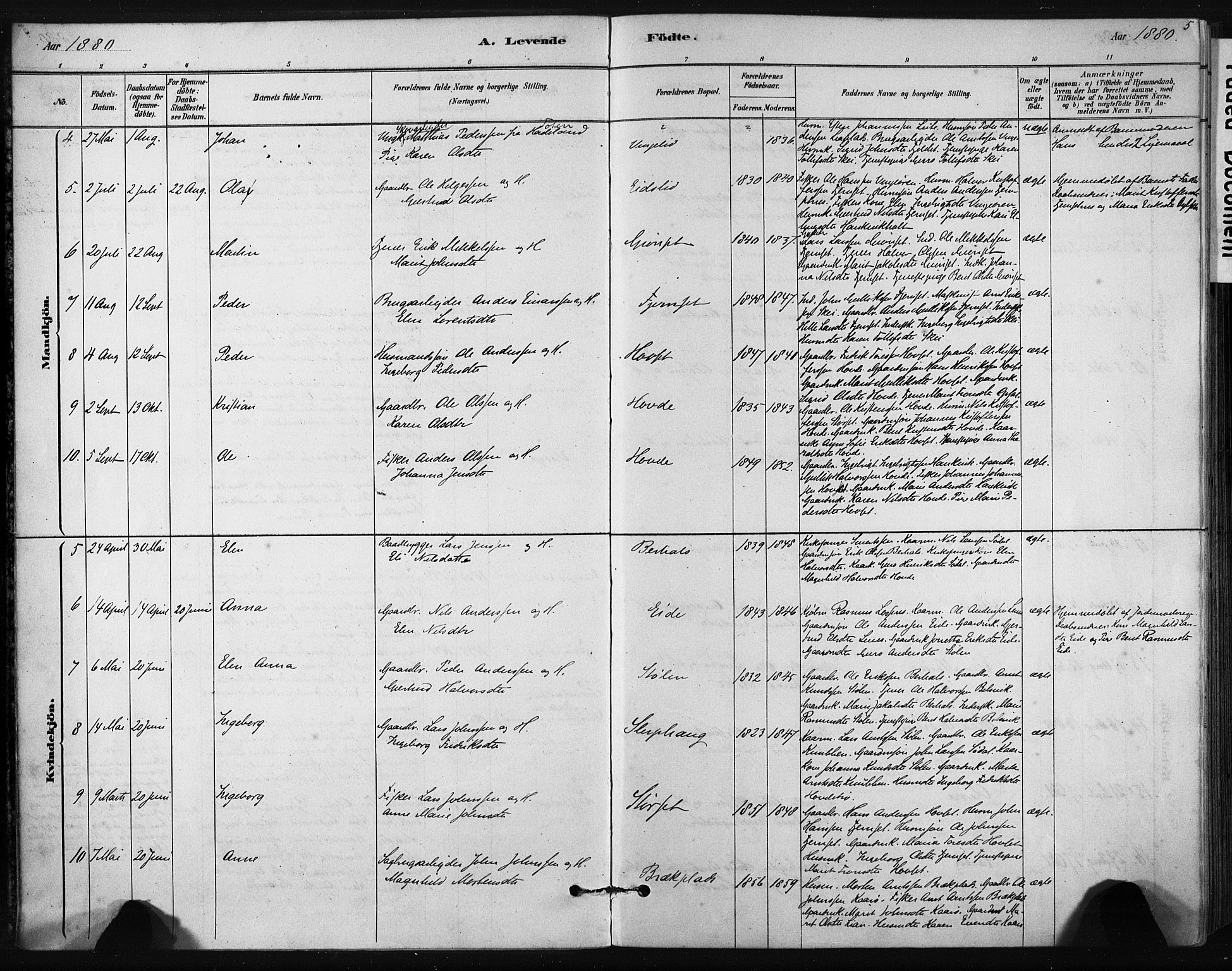 Ministerialprotokoller, klokkerbøker og fødselsregistre - Sør-Trøndelag, SAT/A-1456/631/L0512: Parish register (official) no. 631A01, 1879-1912, p. 5