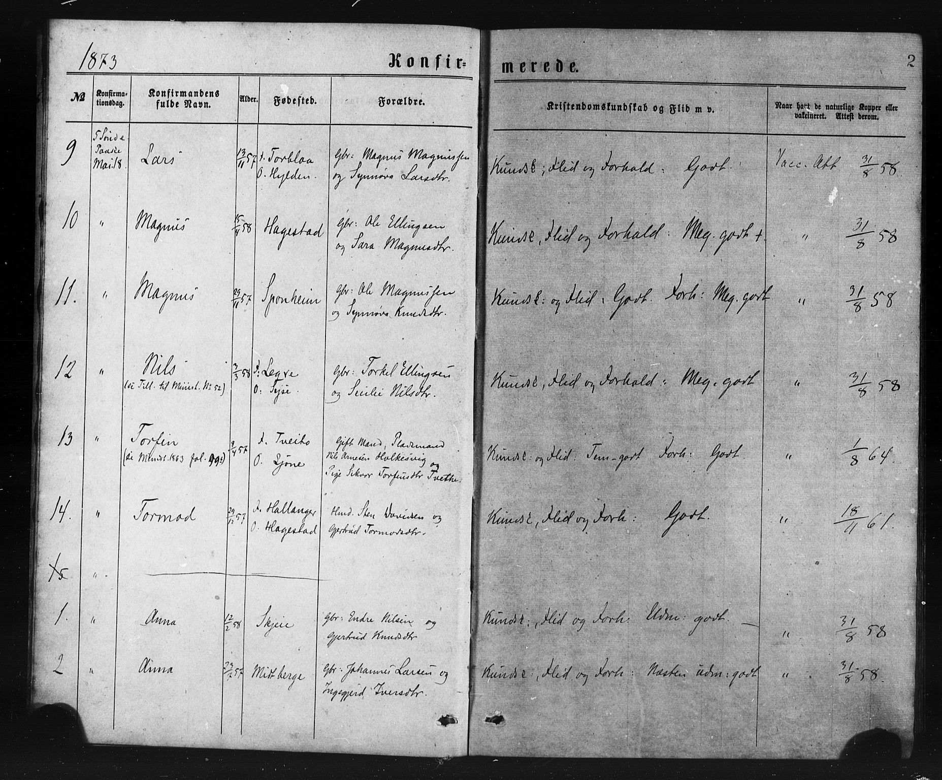 Ulvik sokneprestembete, SAB/A-78801/H/Haa: Parish register (official) no. A 17, 1873-1891, p. 2