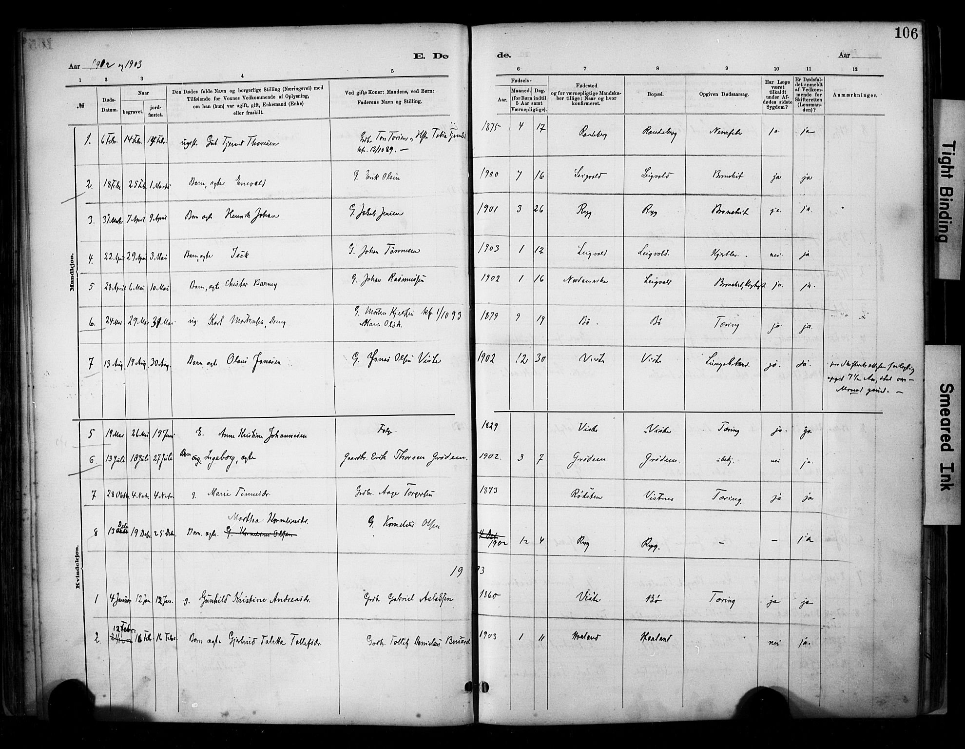 Hetland sokneprestkontor, SAST/A-101826/30/30BA/L0009: Parish register (official) no. A 9, 1882-1918, p. 106