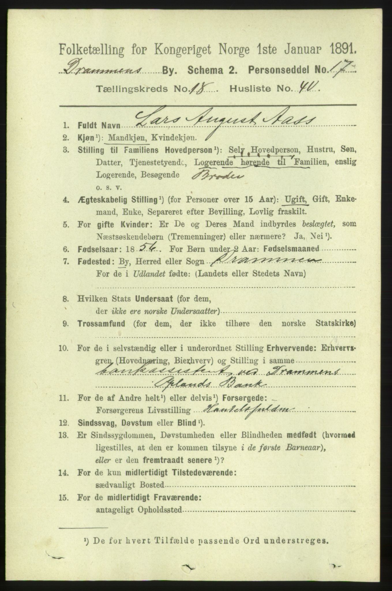 RA, 1891 census for 0602 Drammen, 1891, p. 11996