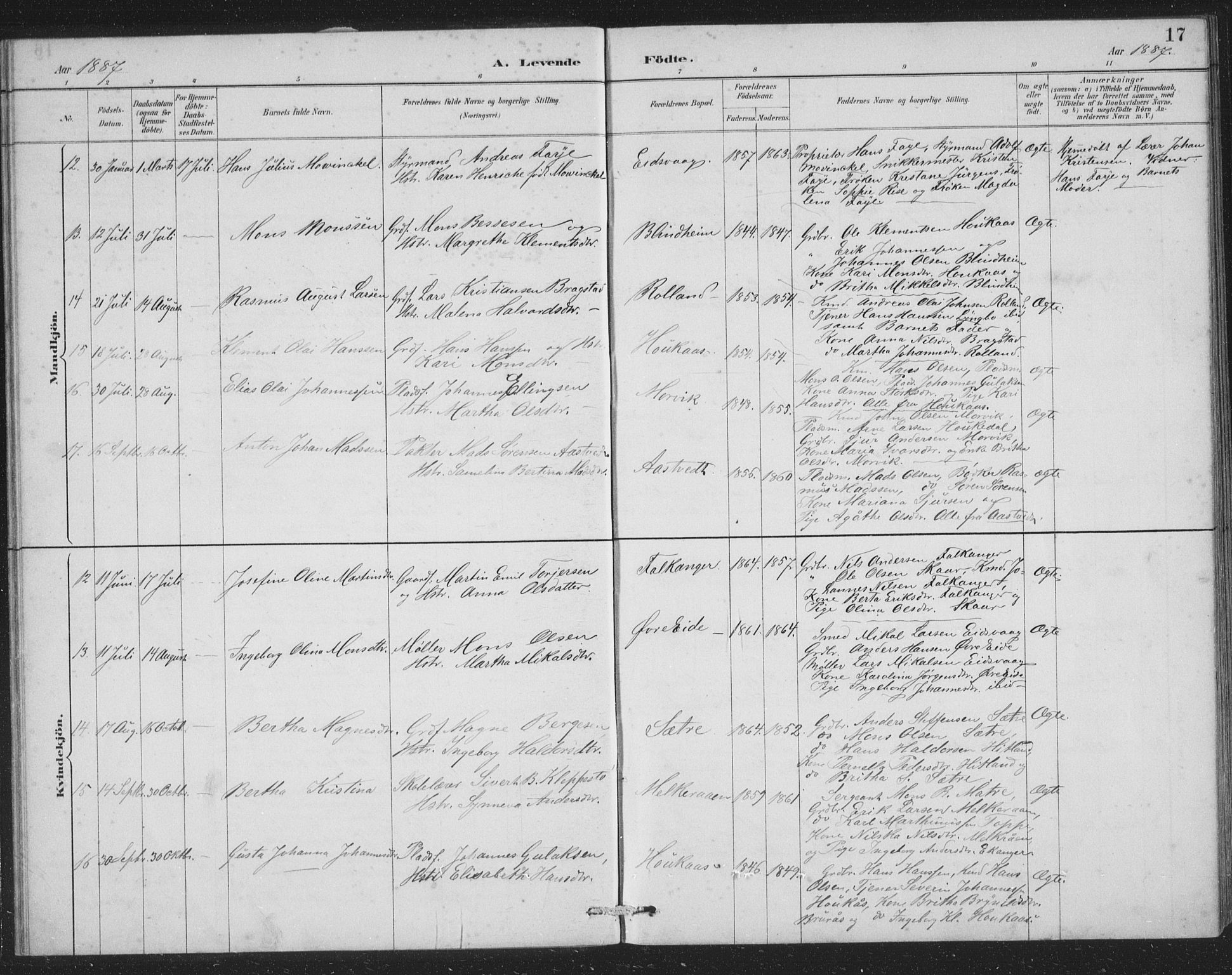 Åsane sokneprestembete, SAB/A-79401/H/Hab: Parish register (copy) no. A 2, 1885-1898, p. 17