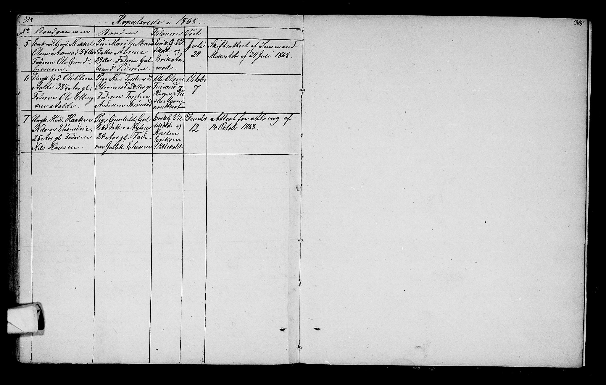 Lunder kirkebøker, SAKO/A-629/G/Ga/L0002: Parish register (copy) no. I 2, 1849-1868, p. 314-315