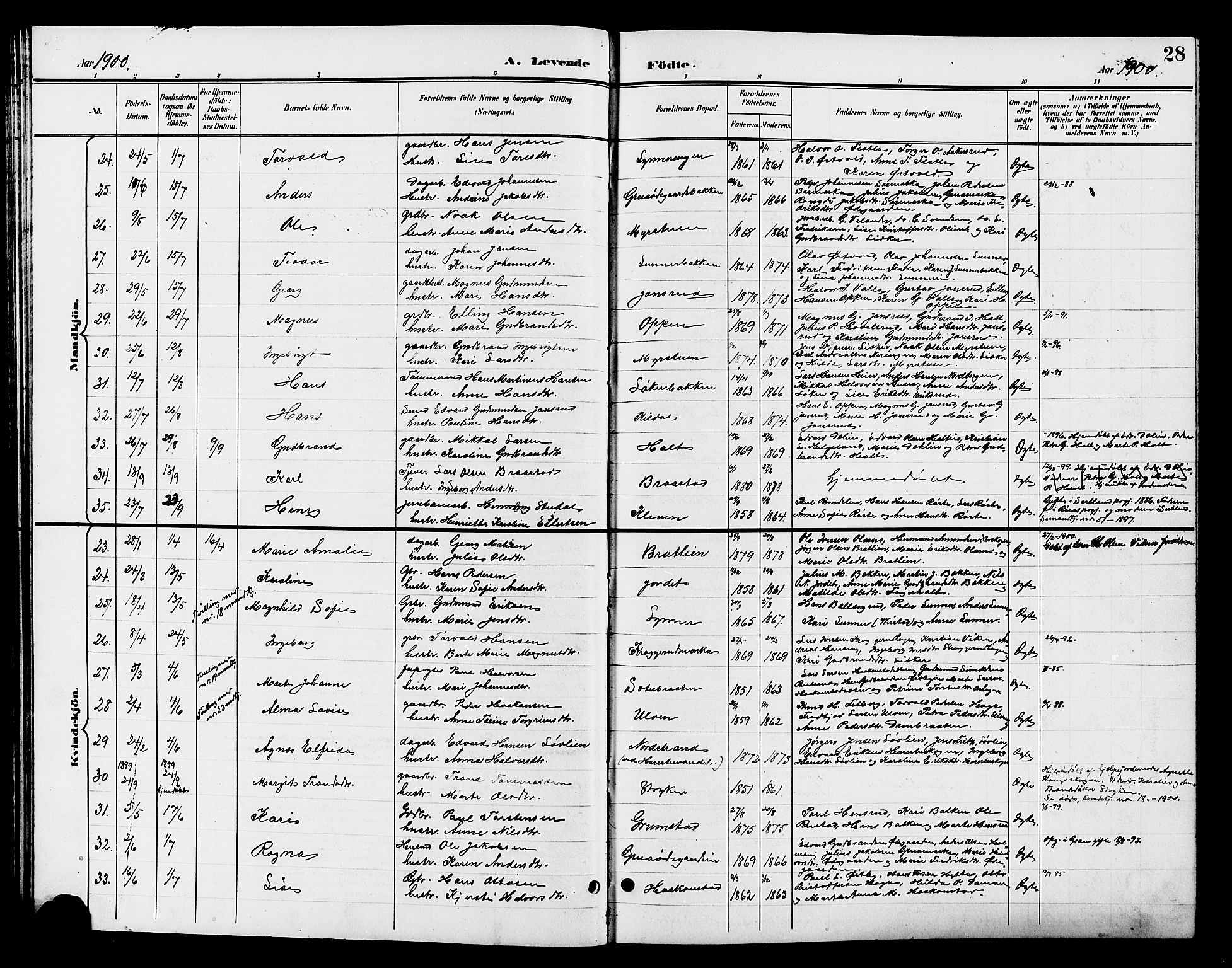Jevnaker prestekontor, AV/SAH-PREST-116/H/Ha/Hab/L0003: Parish register (copy) no. 3, 1896-1909, p. 28