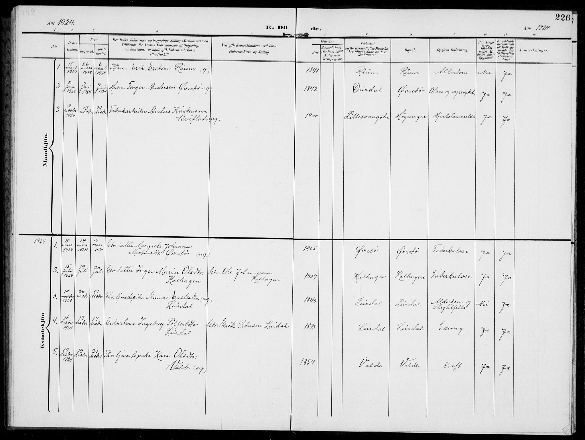 Jostedal sokneprestembete, AV/SAB-A-80601/H/Hab/Habc/L0001: Parish register (copy) no. C 1, 1903-1939, p. 226