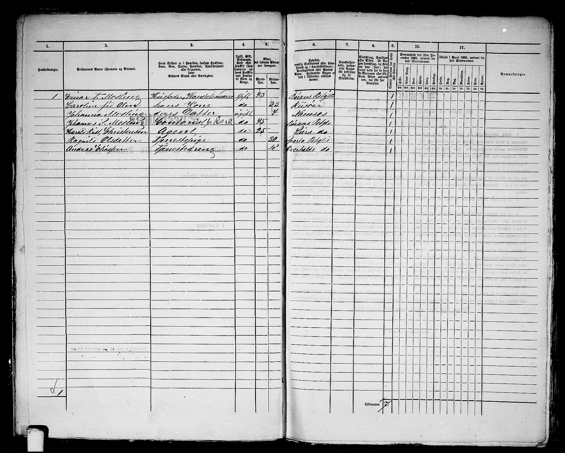 RA, 1865 census for Namsos/Namsos, 1865, p. 17