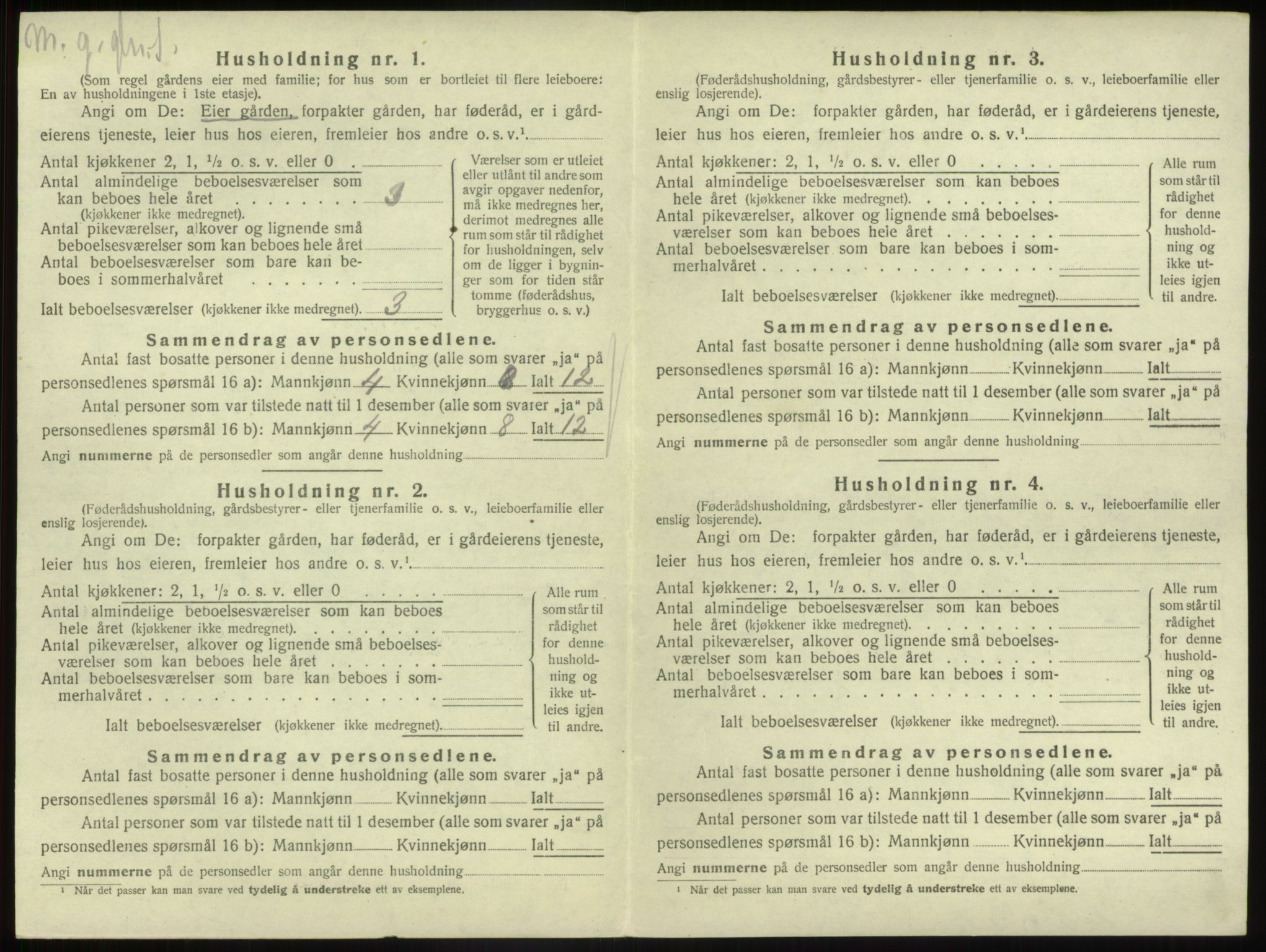 SAB, 1920 census for Gaular, 1920, p. 317